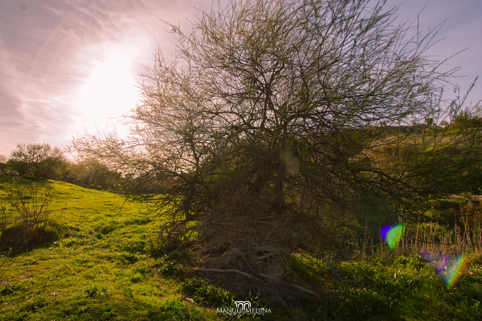 Canon EF-S 10-22mm F3.5-4.5 USM sample photo. Otro atardecer photography