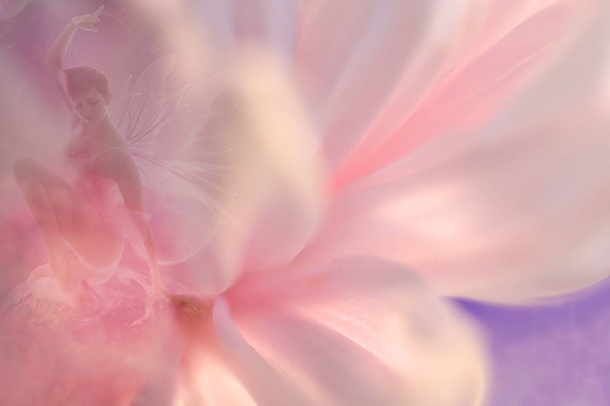 Canon EF 50mm F2.5 Macro sample photo. There is a place photography