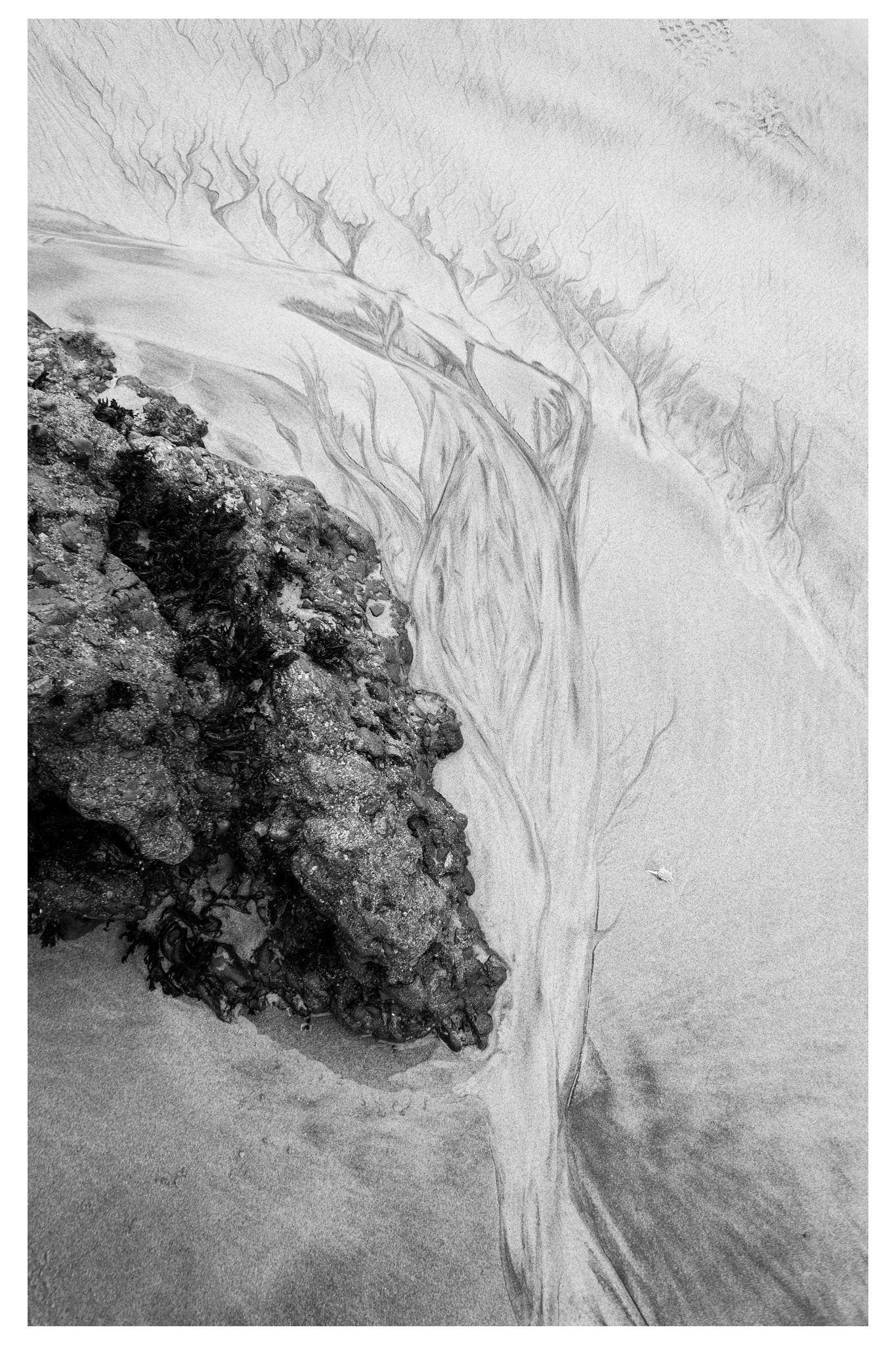 Sony Alpha NEX-6 + Sony E 16mm F2.8 sample photo. Pfeiffer beach photography