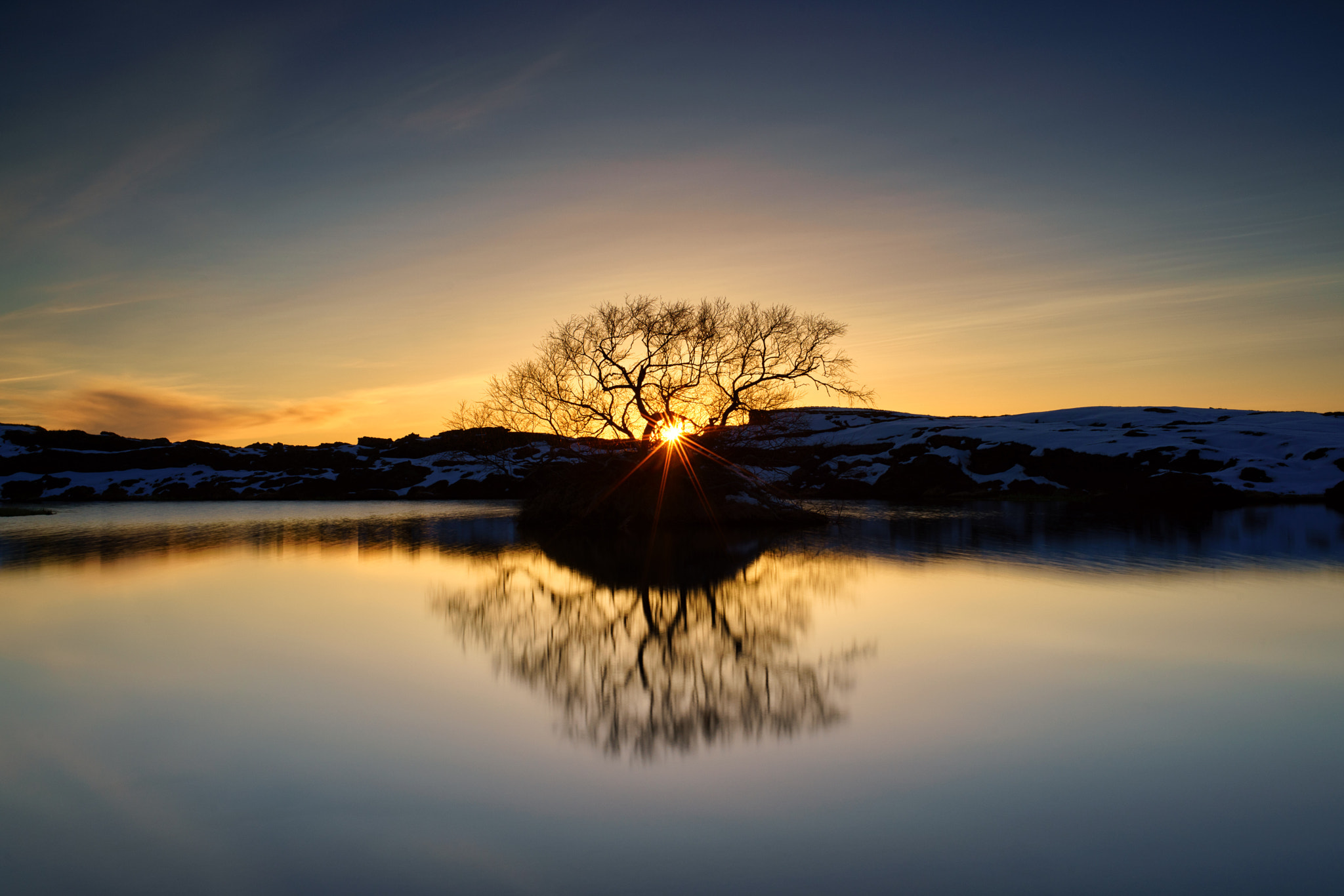 E 35mm F2 sample photo. Lonely tree sunset photography