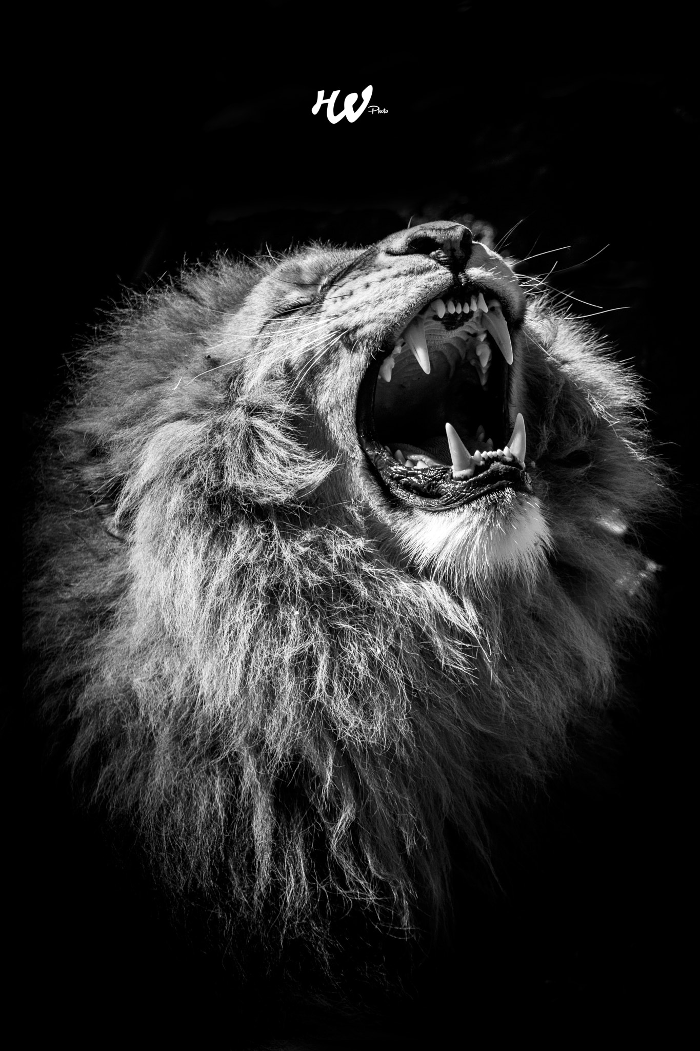 Jonathan Vincent (JonathanVincent) Photos / 500px