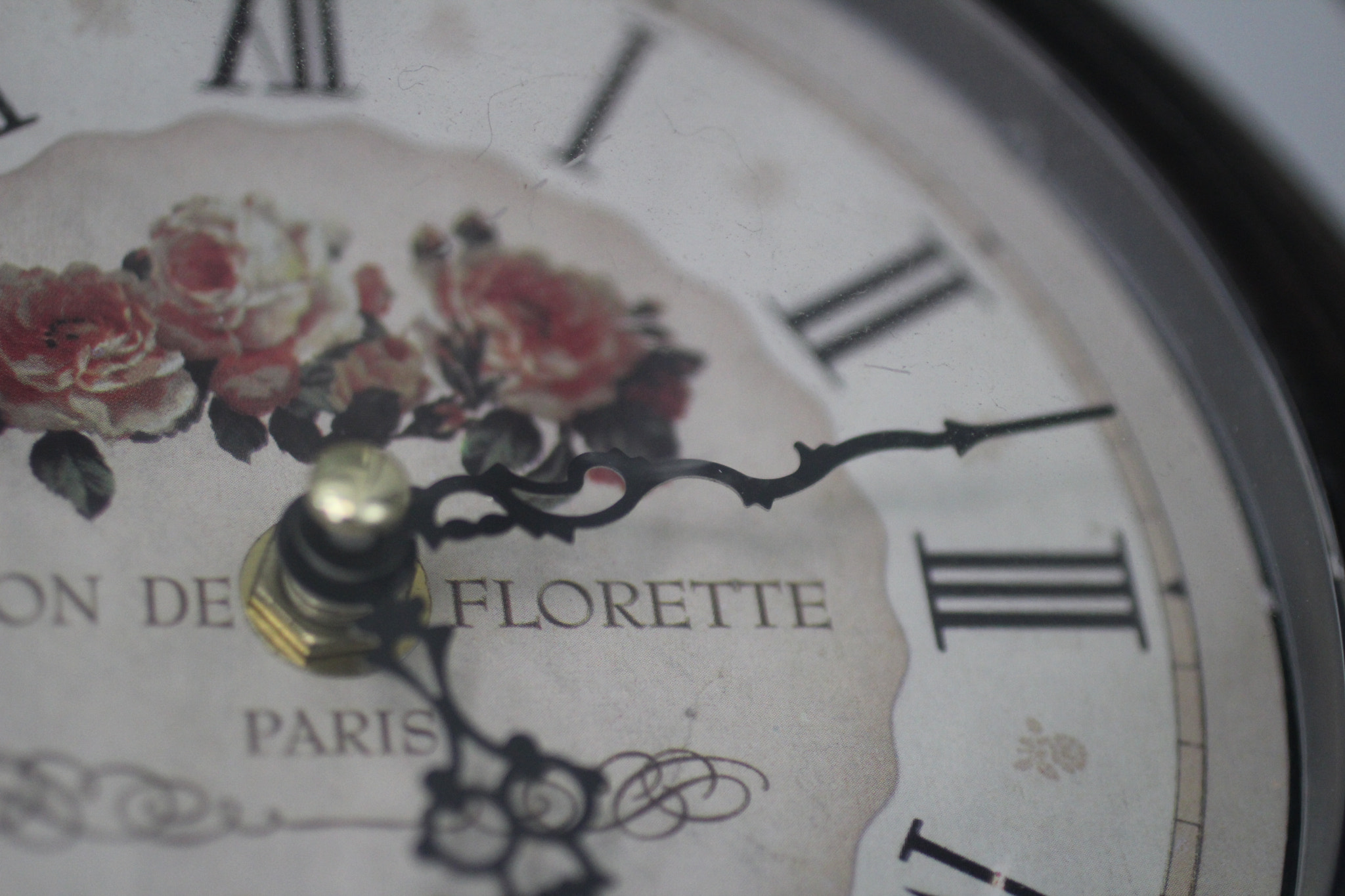 Canon EF 50mm F2.5 Macro sample photo. O velho e empoeirado tempo... photography