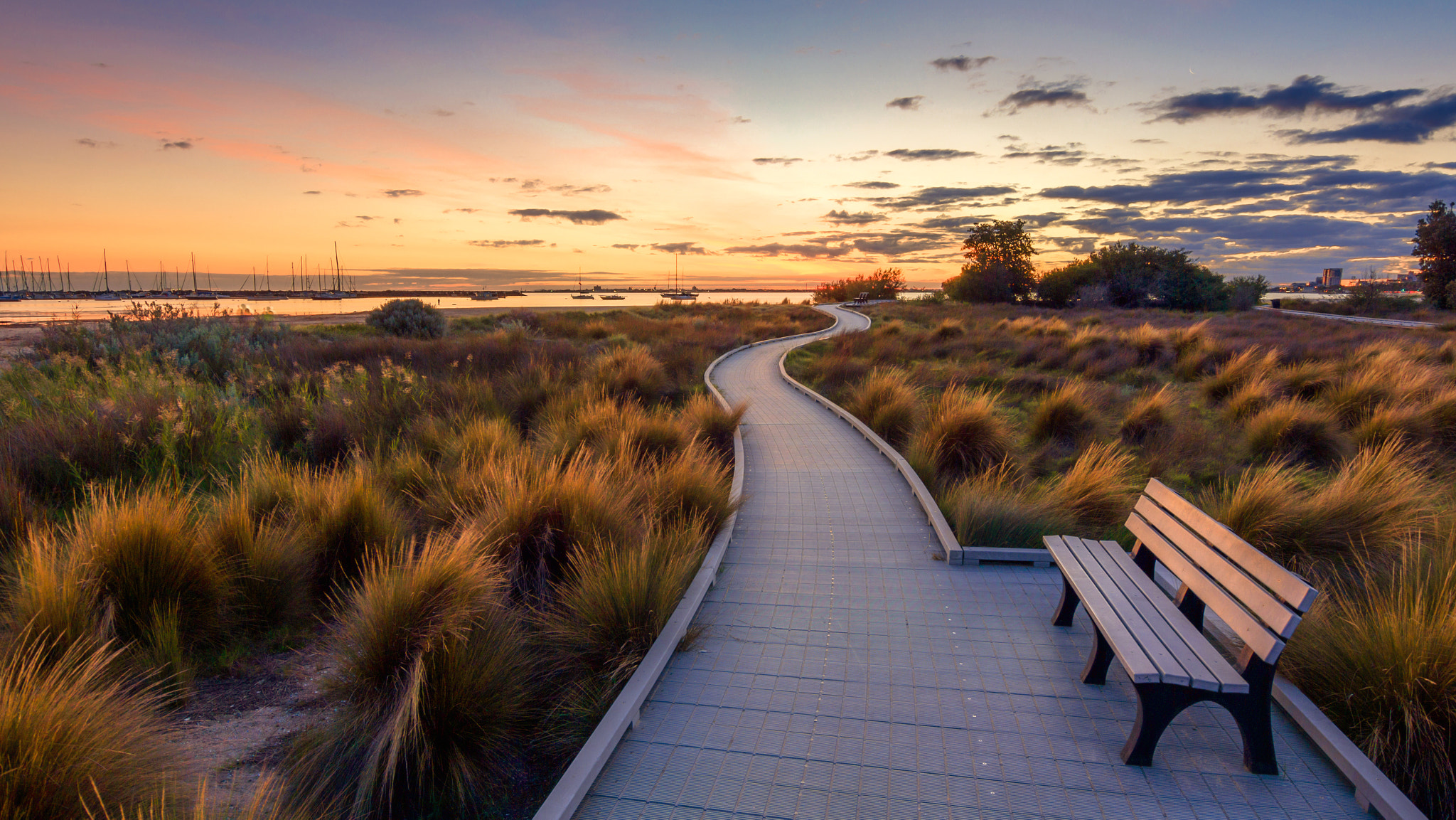 Tokina AT-X 12-28mm F4 Pro DX sample photo. A winding trail along beach photography