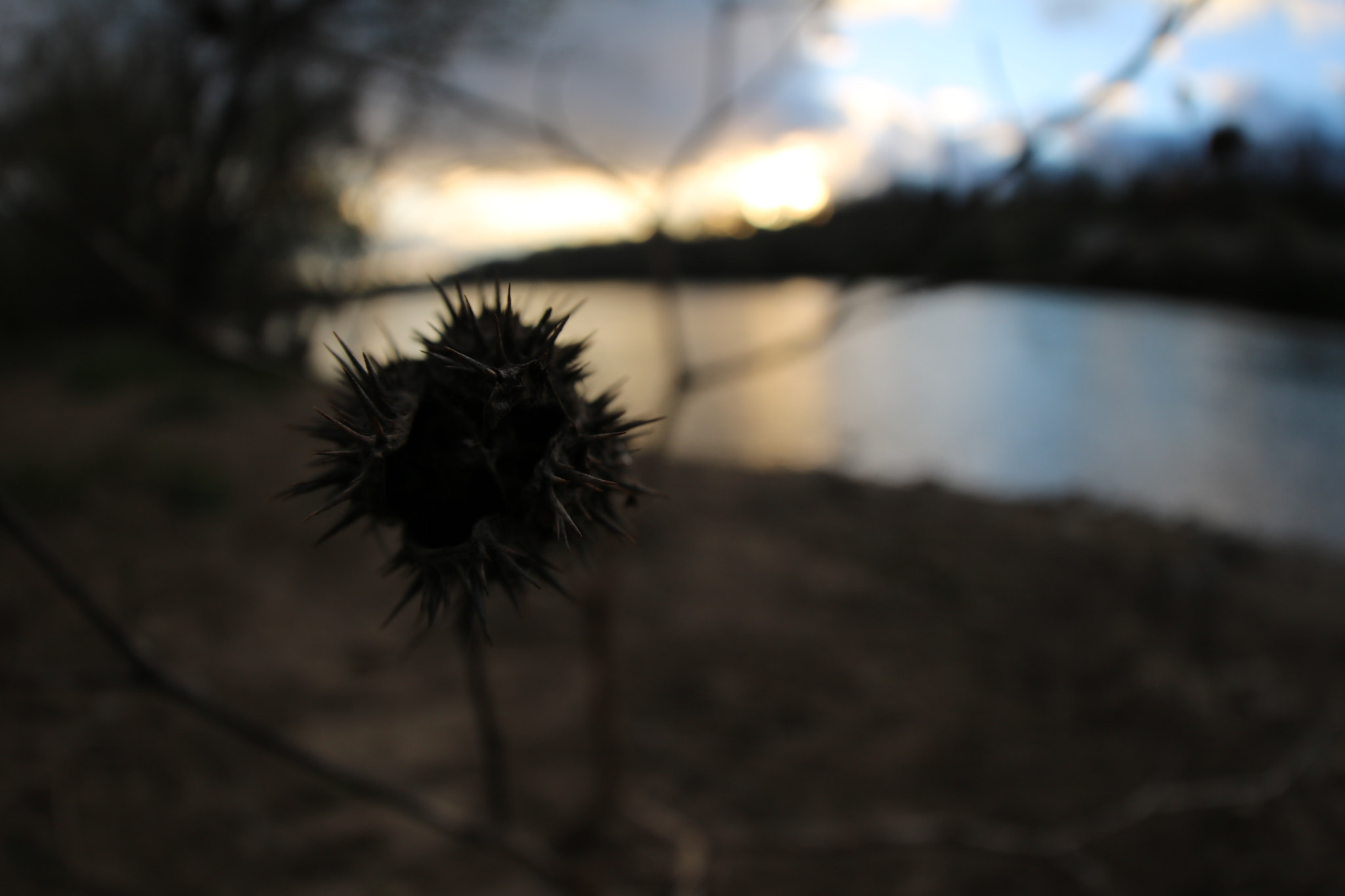 Canon EF 8-15mm F4L Fisheye USM sample photo. New river photography