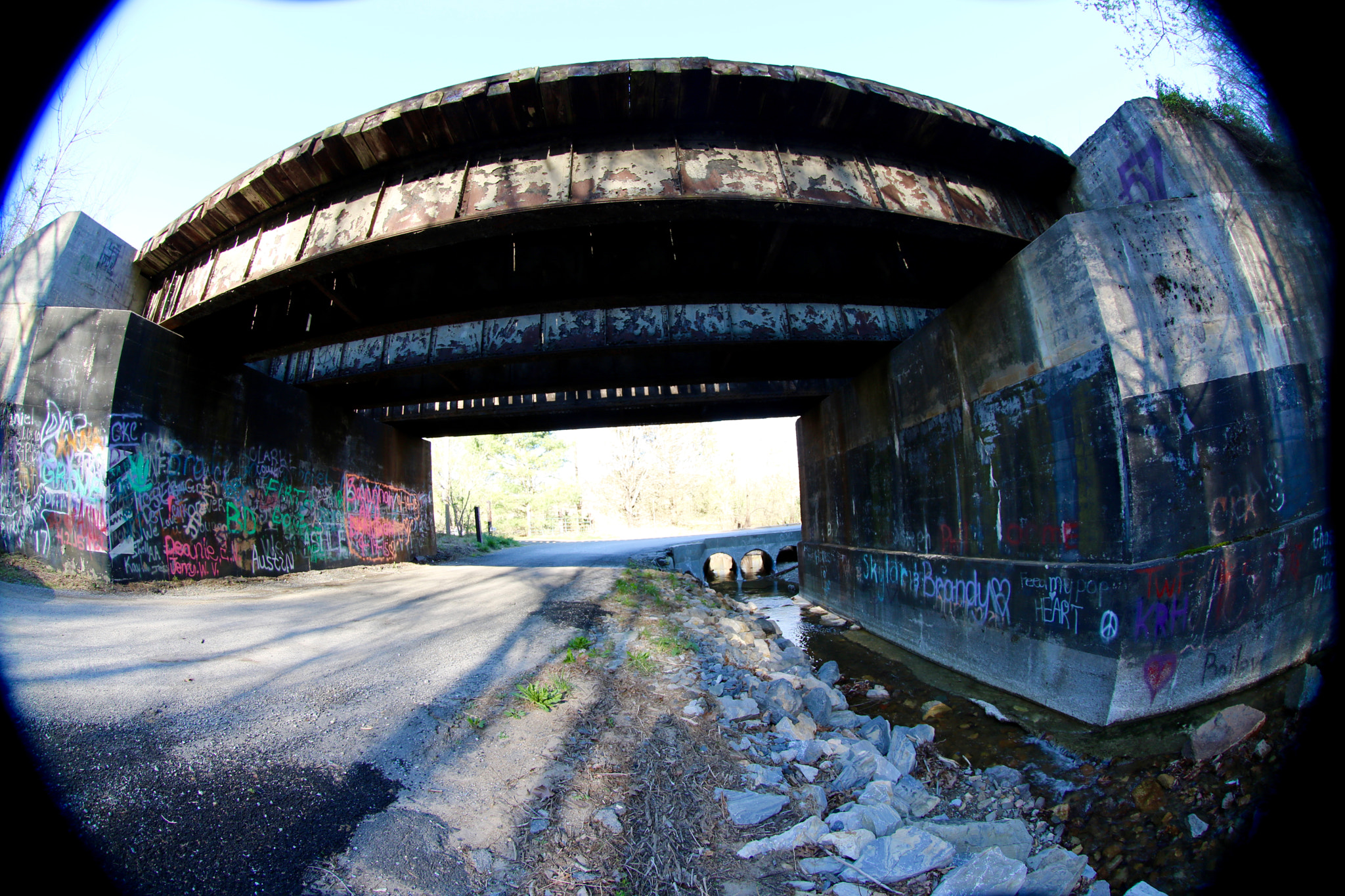Canon EF 8-15mm F4L Fisheye USM sample photo. Art photography