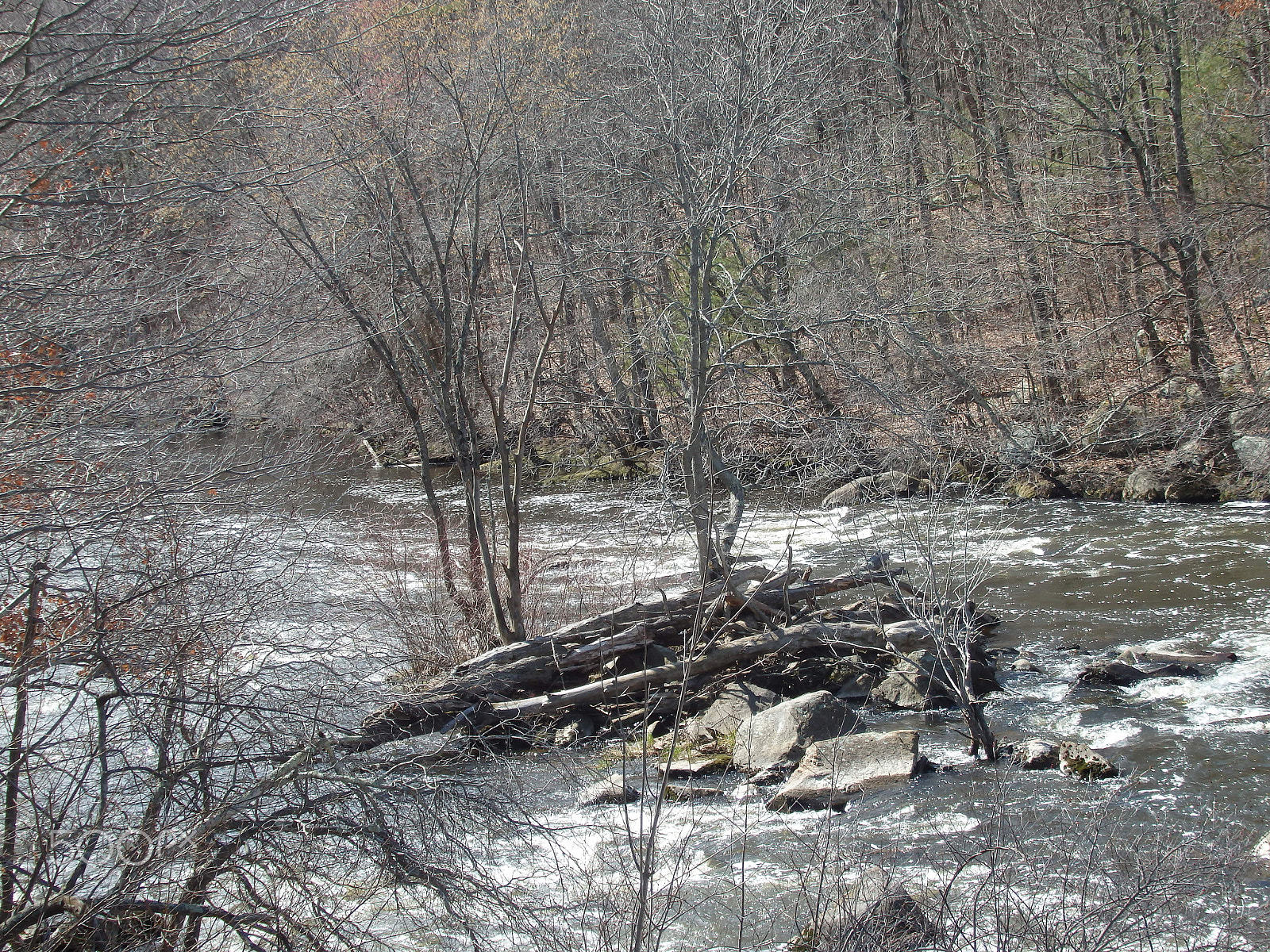 Olympus SH-60 sample photo. Blackstone gorge 1 photography
