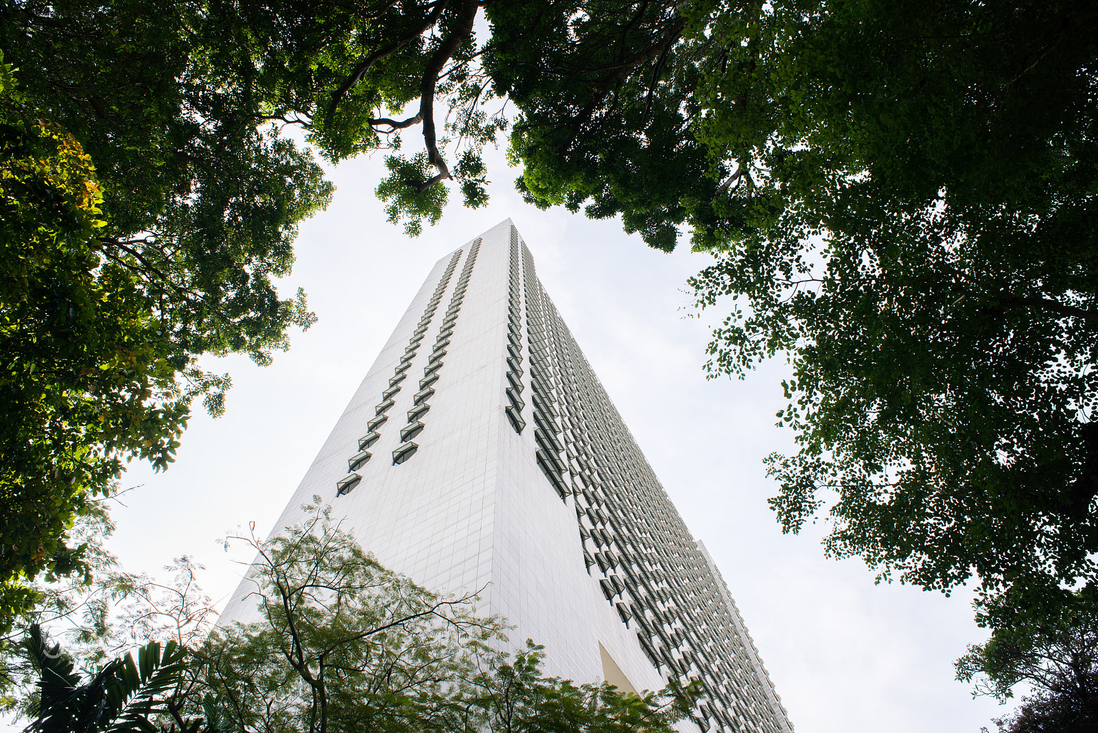 Nikon D600 + AF Nikkor 20mm f/2.8 sample photo. Modern building in windows of trees photography