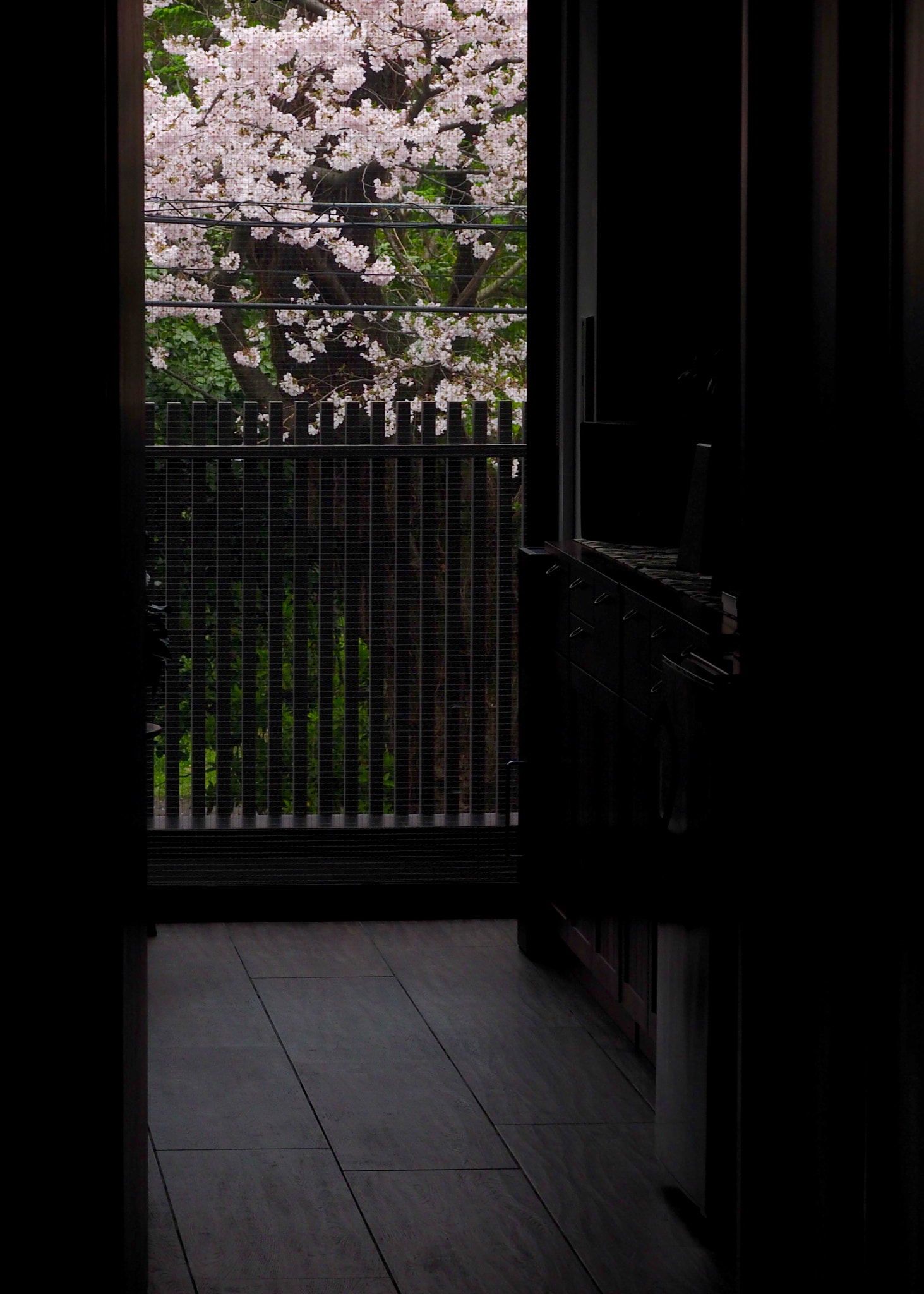 Olympus PEN E-PL7 sample photo. A view from the north window photography