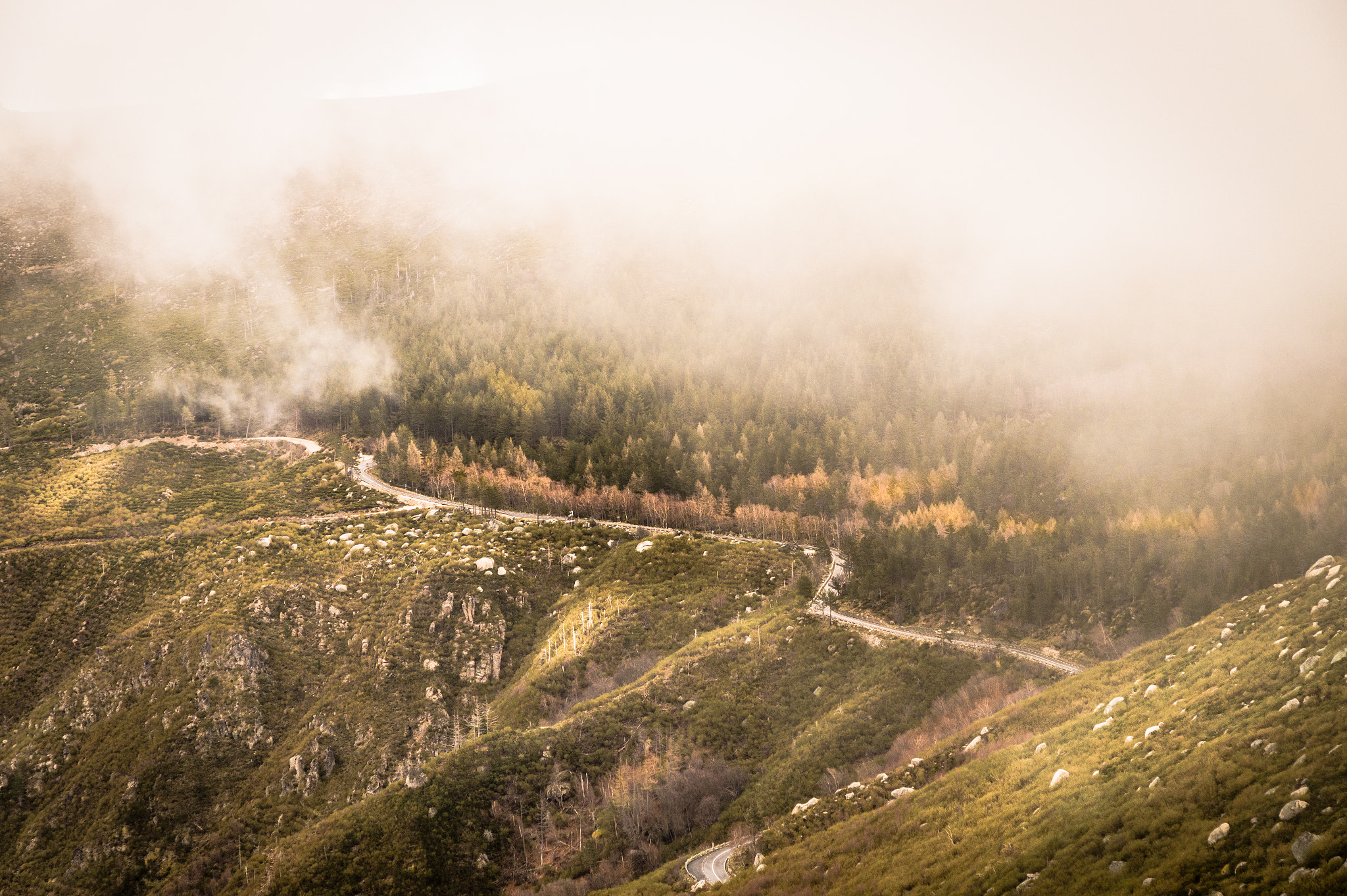 Sony DT 16-105mm F3.5-5.6 sample photo. Mountain road photography