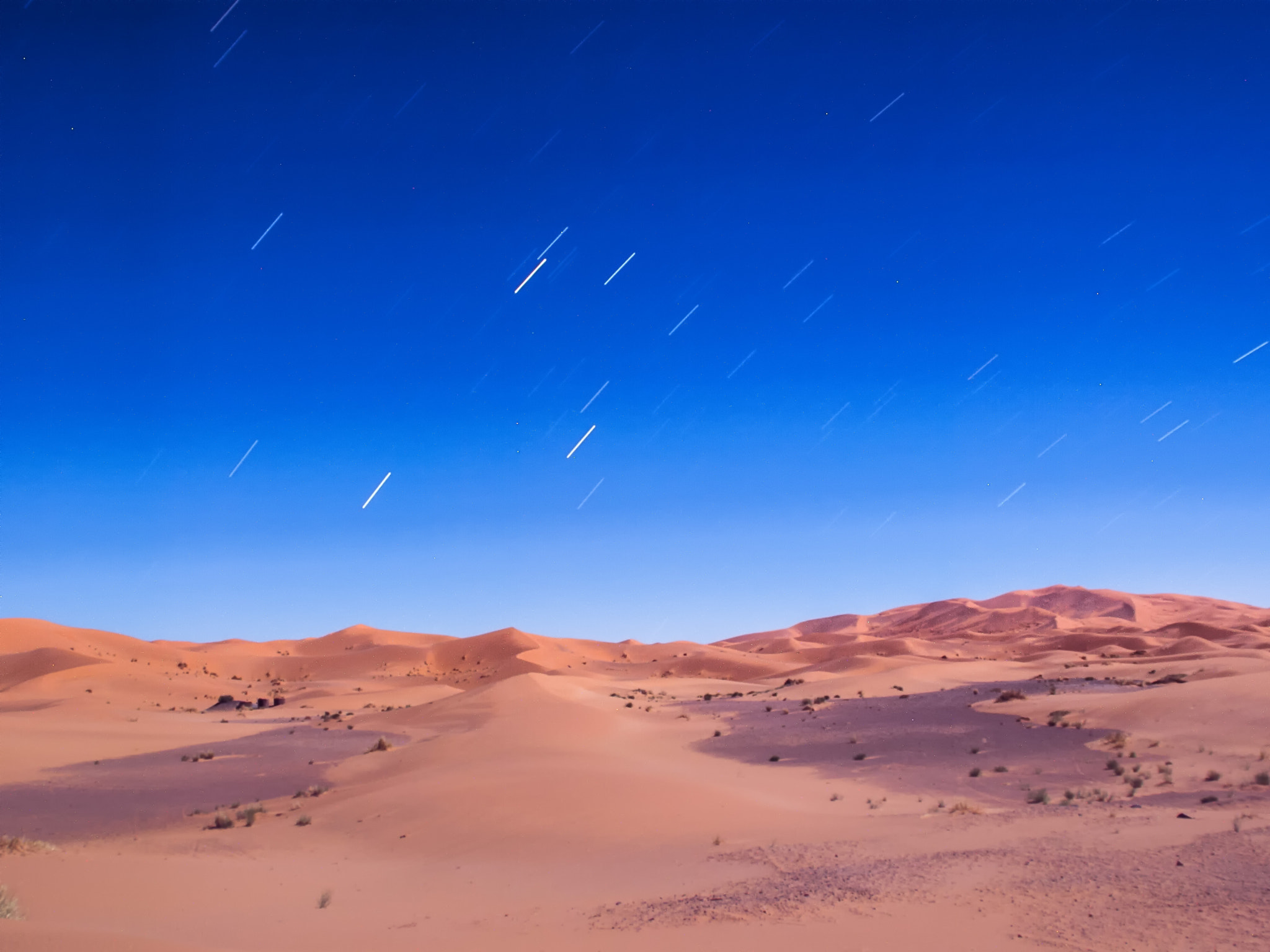 Olympus E-450 (EVOLT E-450) + OLYMPUS 18mm-180mm Lens sample photo. Desert night photography