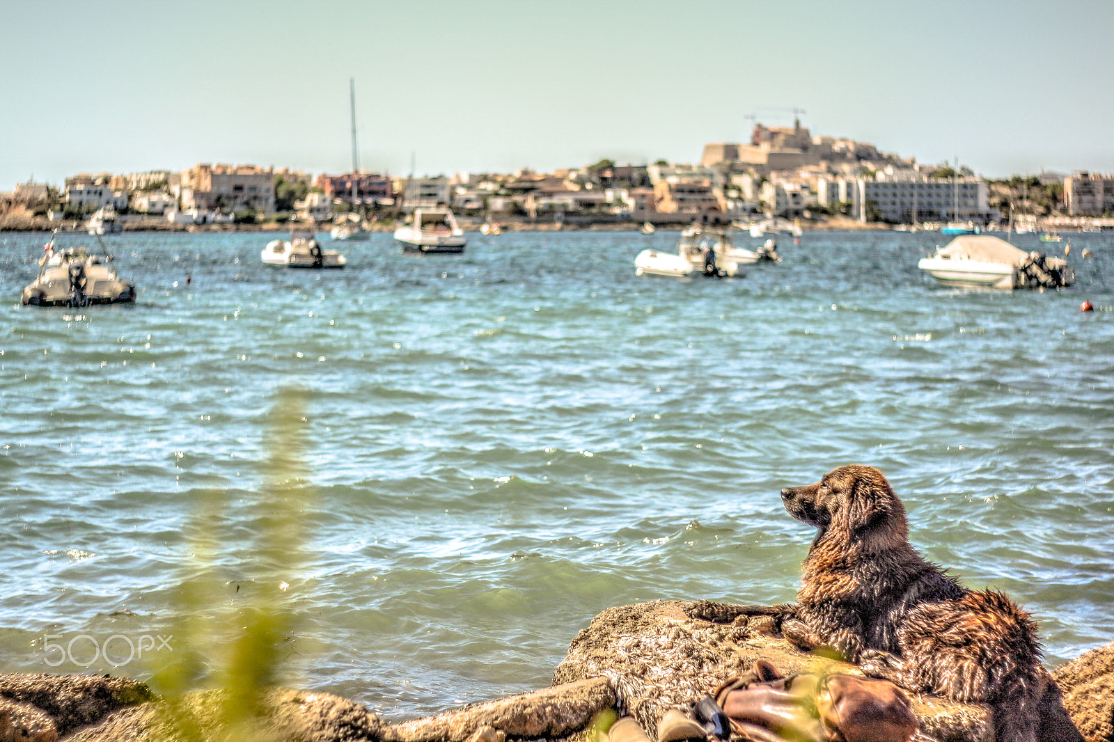 Canon EF 35-80mm f/4-5.6 sample photo. Guarding the sea photography
