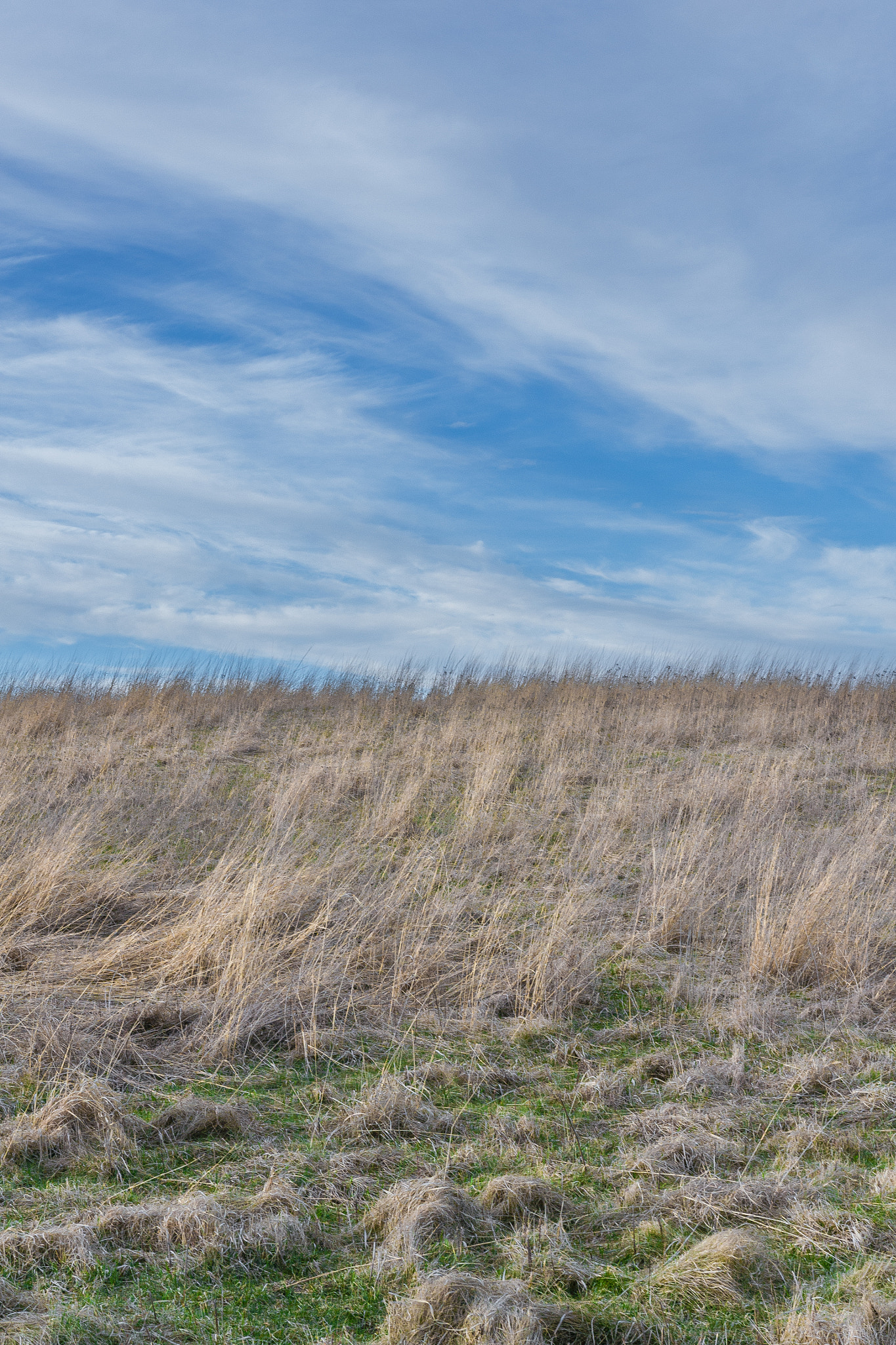 Nikon D3100 + Sigma 18-35mm F1.8 DC HSM Art sample photo. Landscape - digital study photography