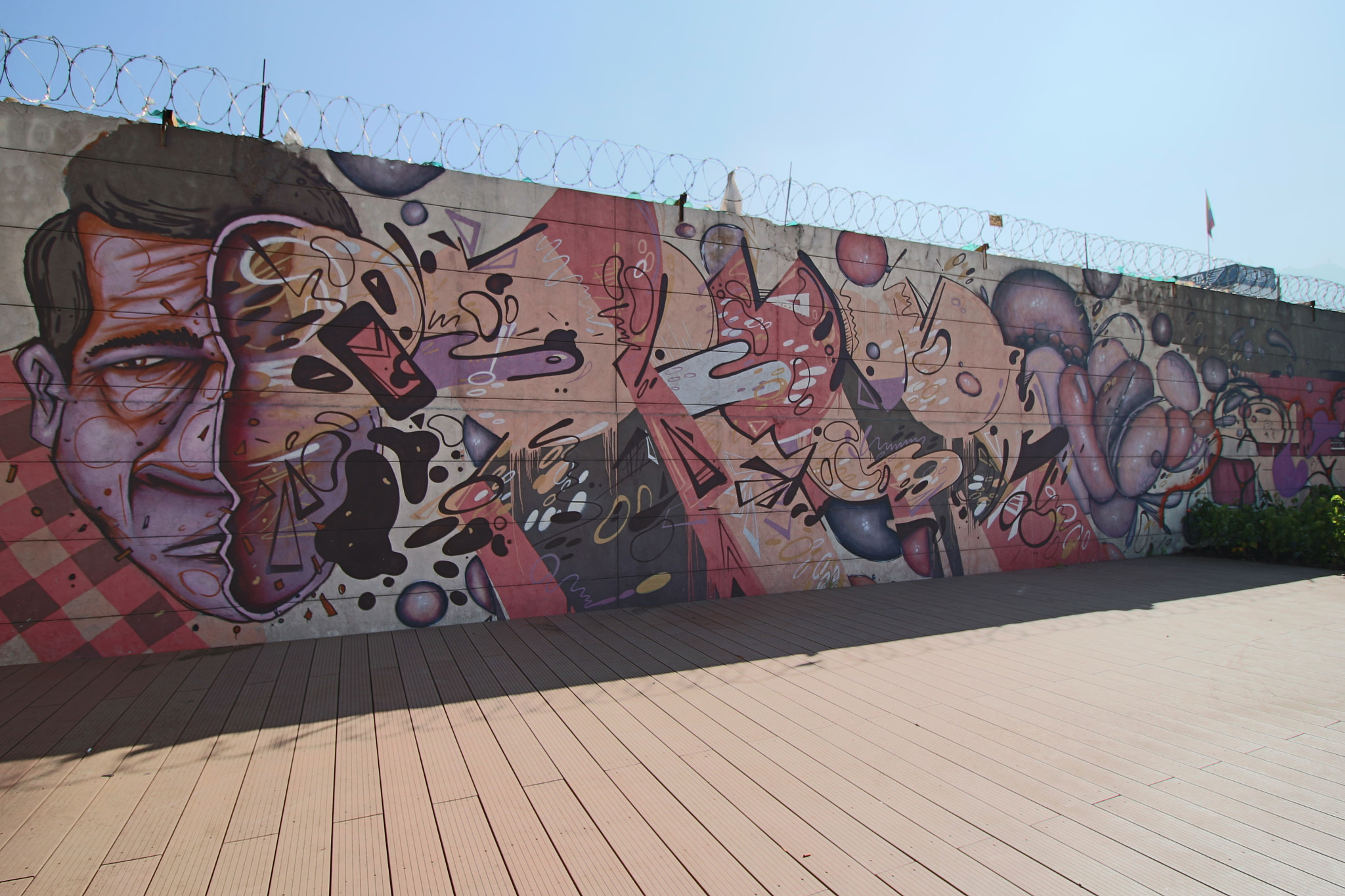 Canon EF-S 10-18mm F4.5–5.6 IS STM sample photo. Grafitti in bogotá photography