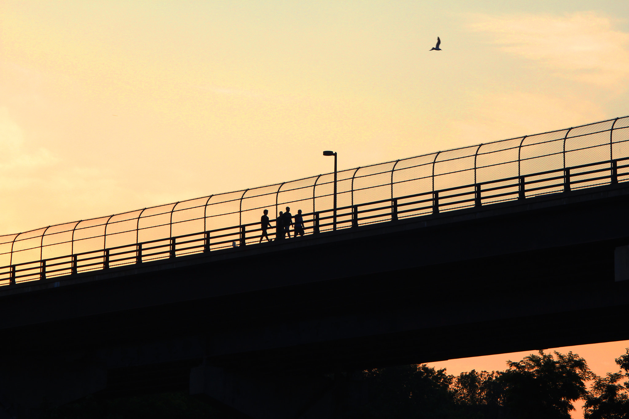 Canon EF 28-90mm f/4-5.6 sample photo. The bridge photography