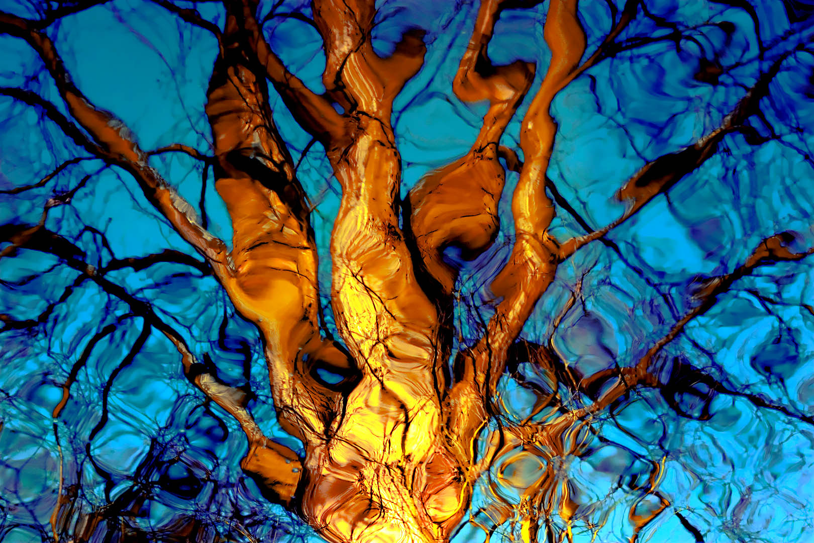 Canon EOS 300D (EOS Digital Rebel / EOS Kiss Digital) sample photo. Tree reflections #2 photography