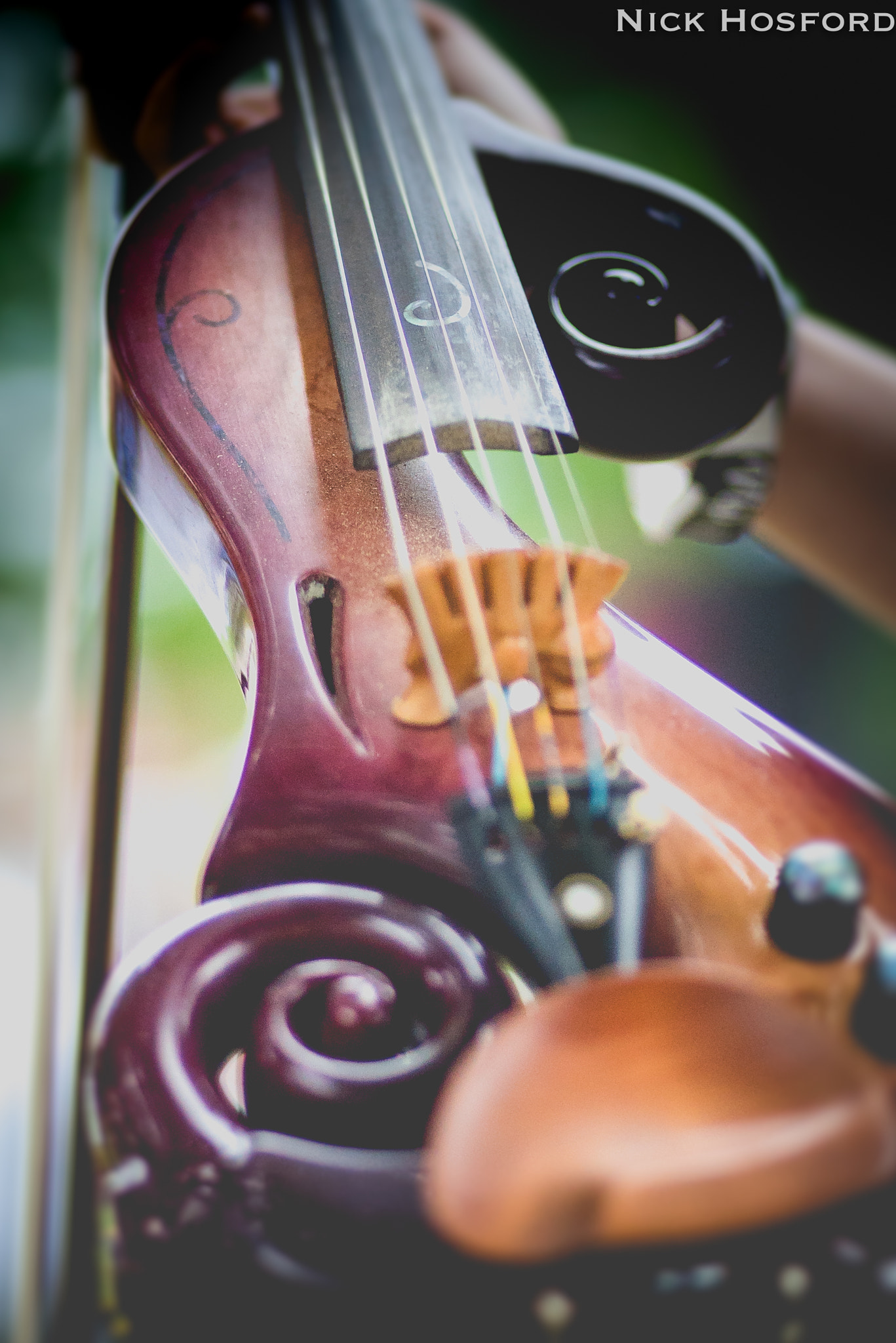 Sony a7S + Canon EF 85mm F1.8 USM sample photo. The accidentals live photography