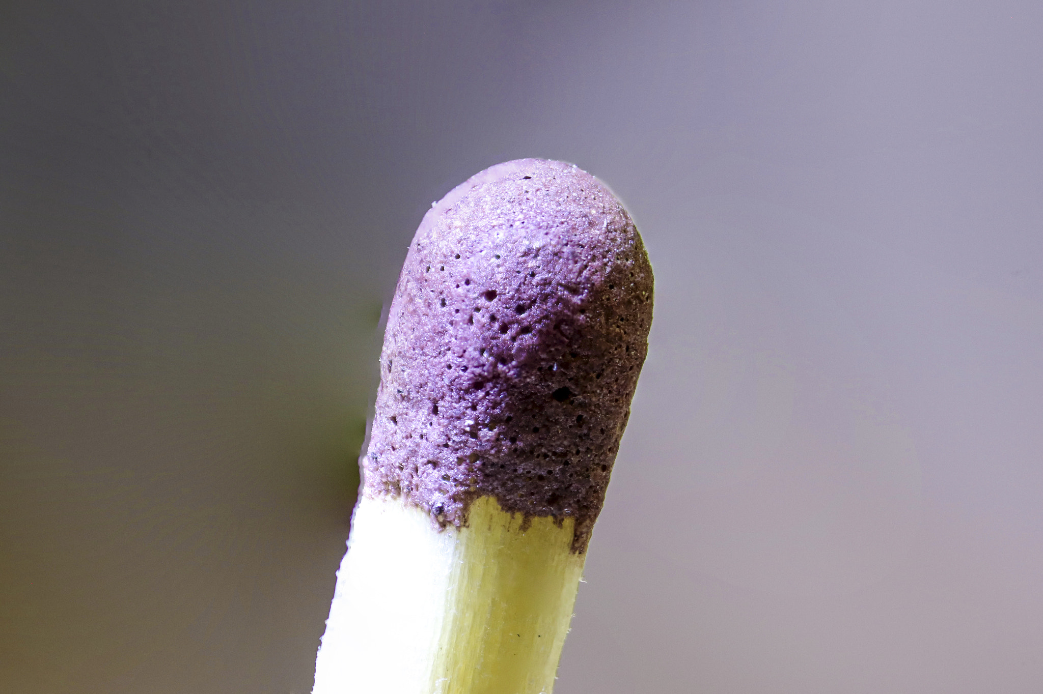 Canon MP-E 65mm F2.5 1-5x Macro Photo sample photo. Fosforo photography