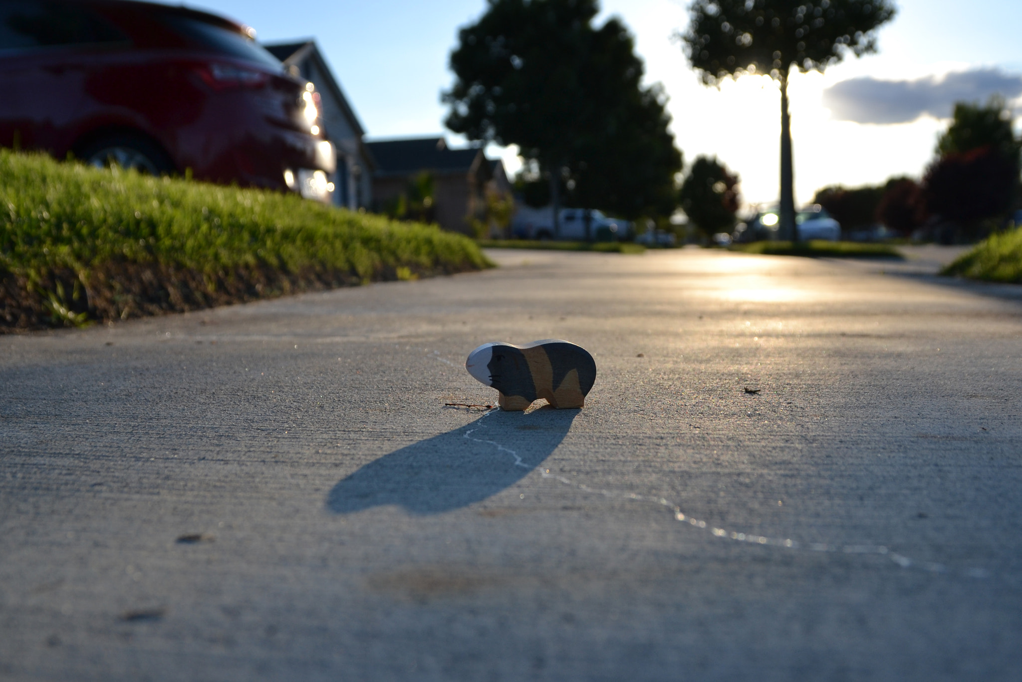 Sigma 17-70mm F2.8-4 DC Macro OS HSM | C sample photo. Guinea fred photography