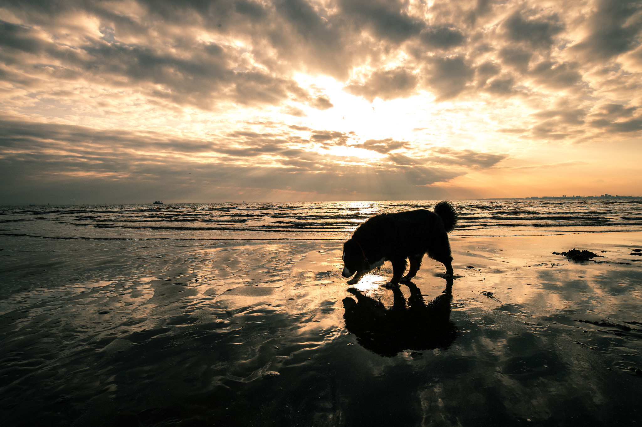 Nikon AF-S Nikkor 18-35mm F3.5-4.5G ED sample photo. Sunset beach photography