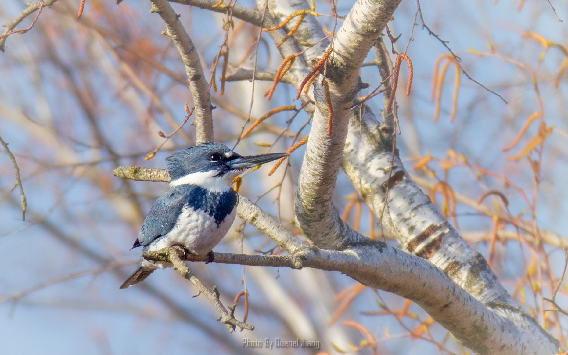 Canon EF 600mm f/4L IS sample photo. Untitled photography