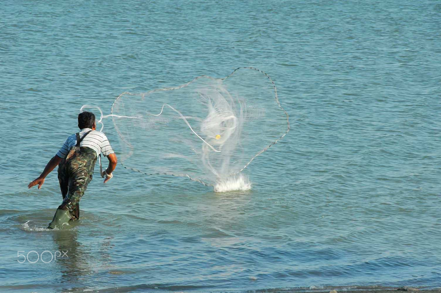 Nikon D70 sample photo. Hunter صياد photography