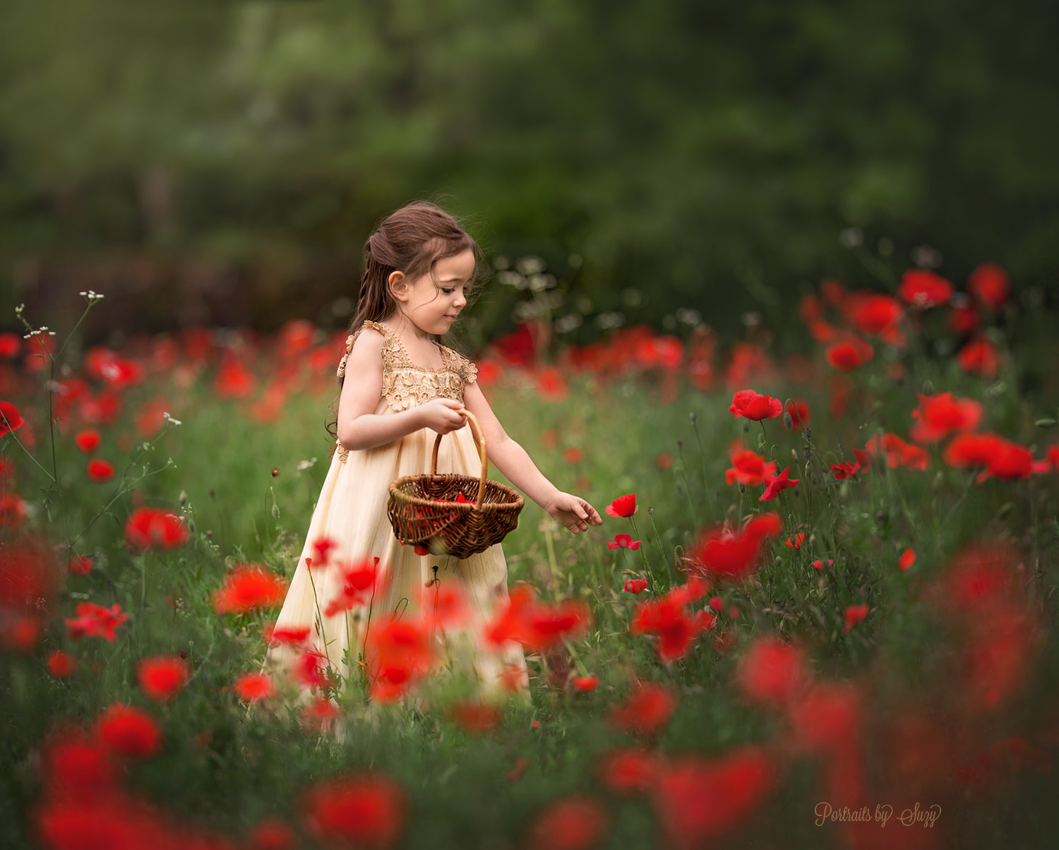 Canon EOS 6D + Canon EF 200mm F2L IS USM sample photo. Poppy love photography
