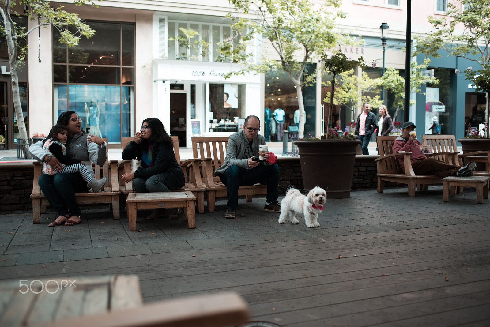 Nikon D750 + AF-S Nikkor 35mm f/1.8G sample photo. 20160409-dsc_0402.jpg photography