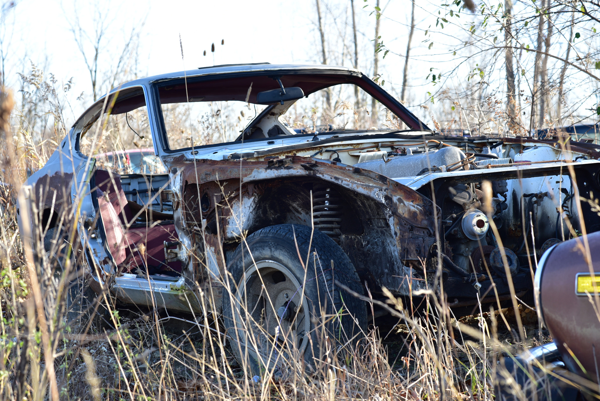 Samyang 85mm F1.4 Aspherical IF sample photo. Tragic datsun photography