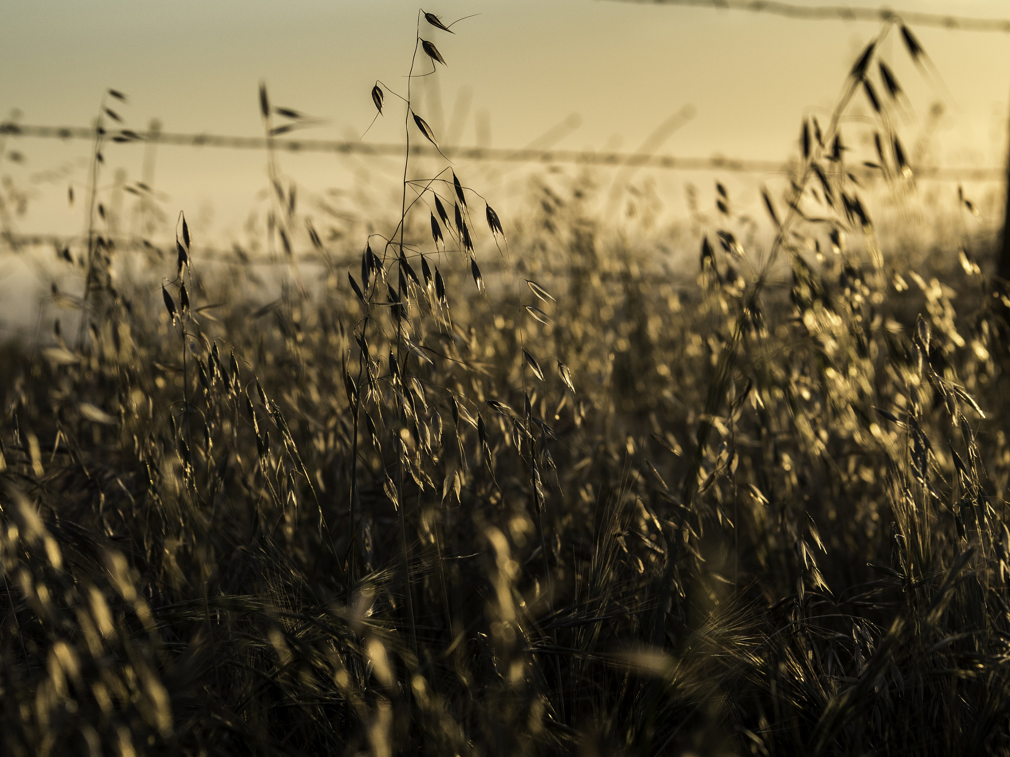 Olympus OM-D E-M5 II + Sigma 60mm F2.8 DN Art sample photo. Vantage point photography