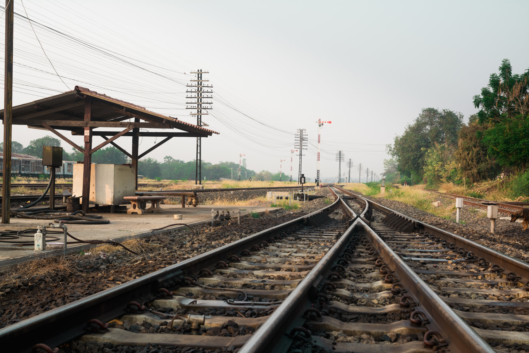 Nikon D5200 + Sigma 17-70mm F2.8-4 DC Macro OS HSM | C sample photo. Countryside of thailand. photography