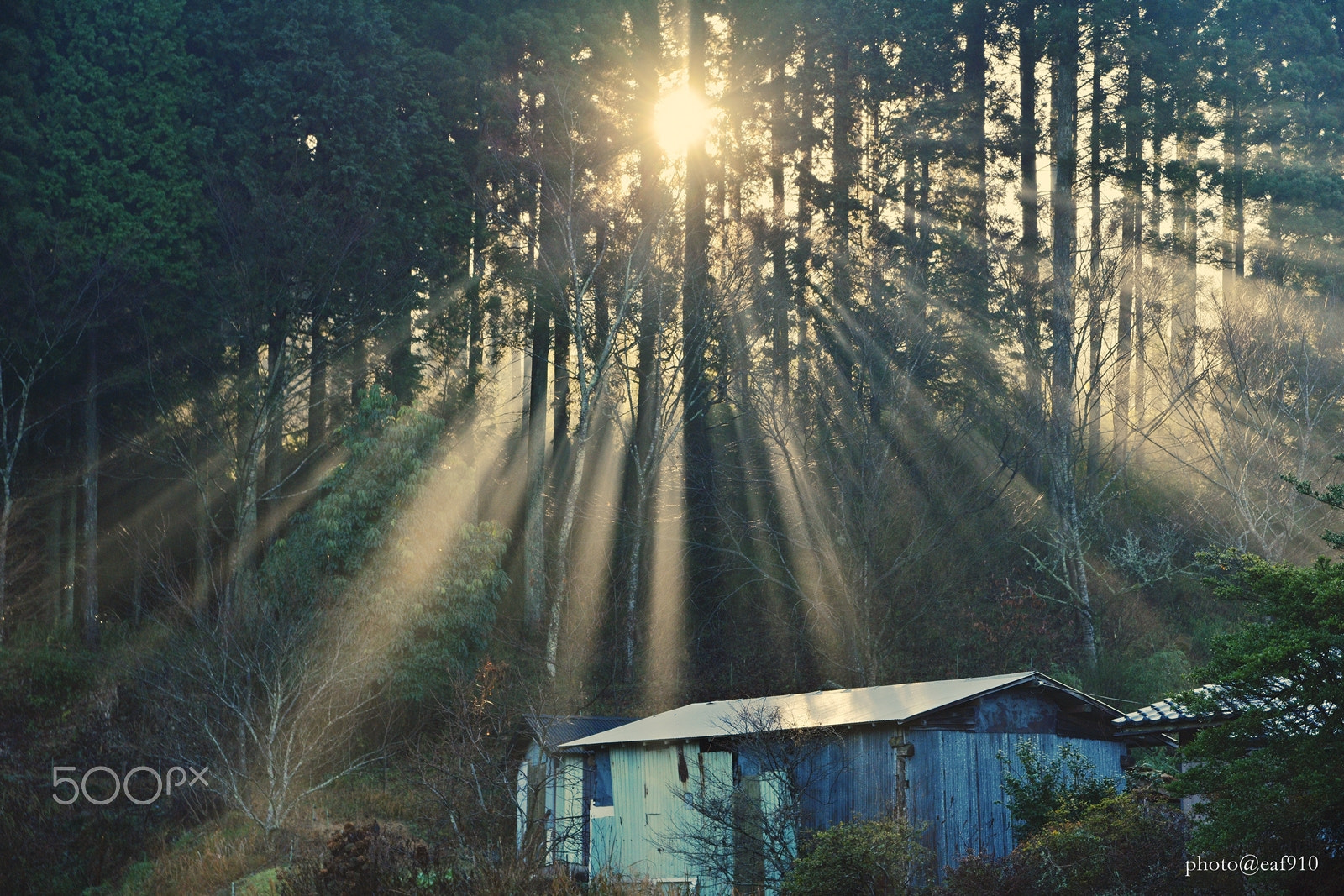 Sigma 17-70mm F2.8-4 DC Macro OS HSM | C sample photo. The warmth of the morning photography