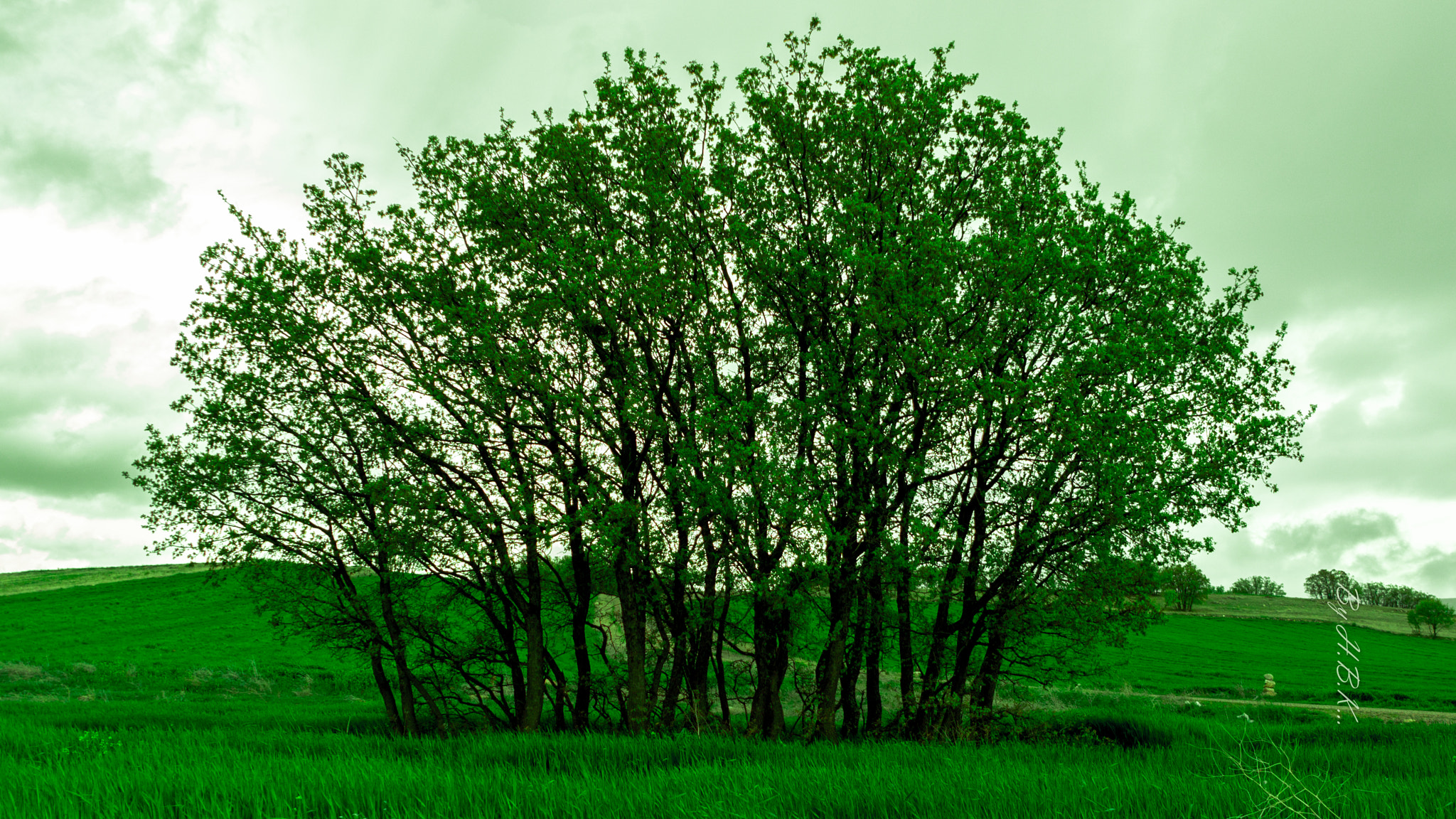 Samsung NX 16mm F2.4 Pancake sample photo. () photography