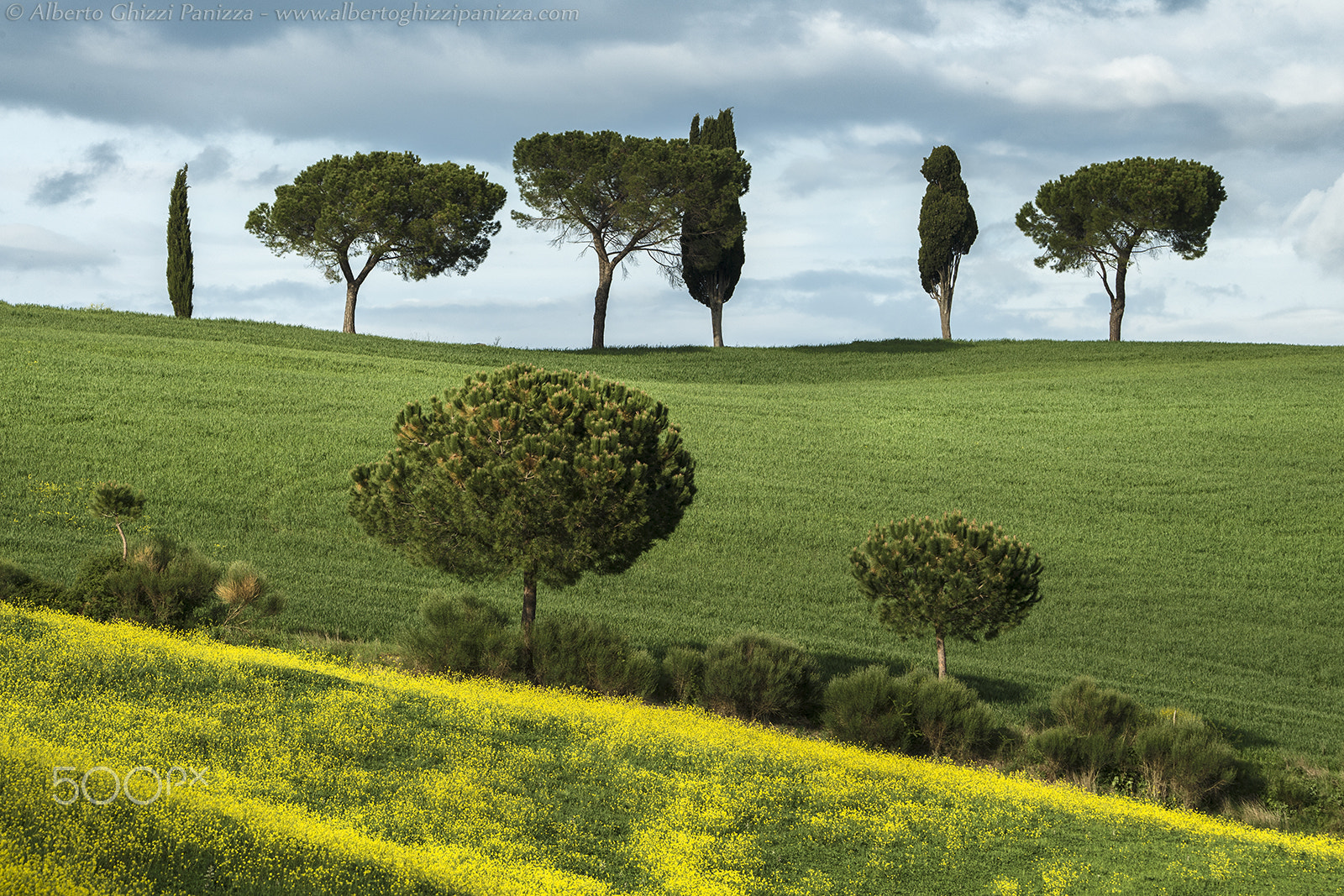 Nikon D5 sample photo. Il paesaggio essenziale photography