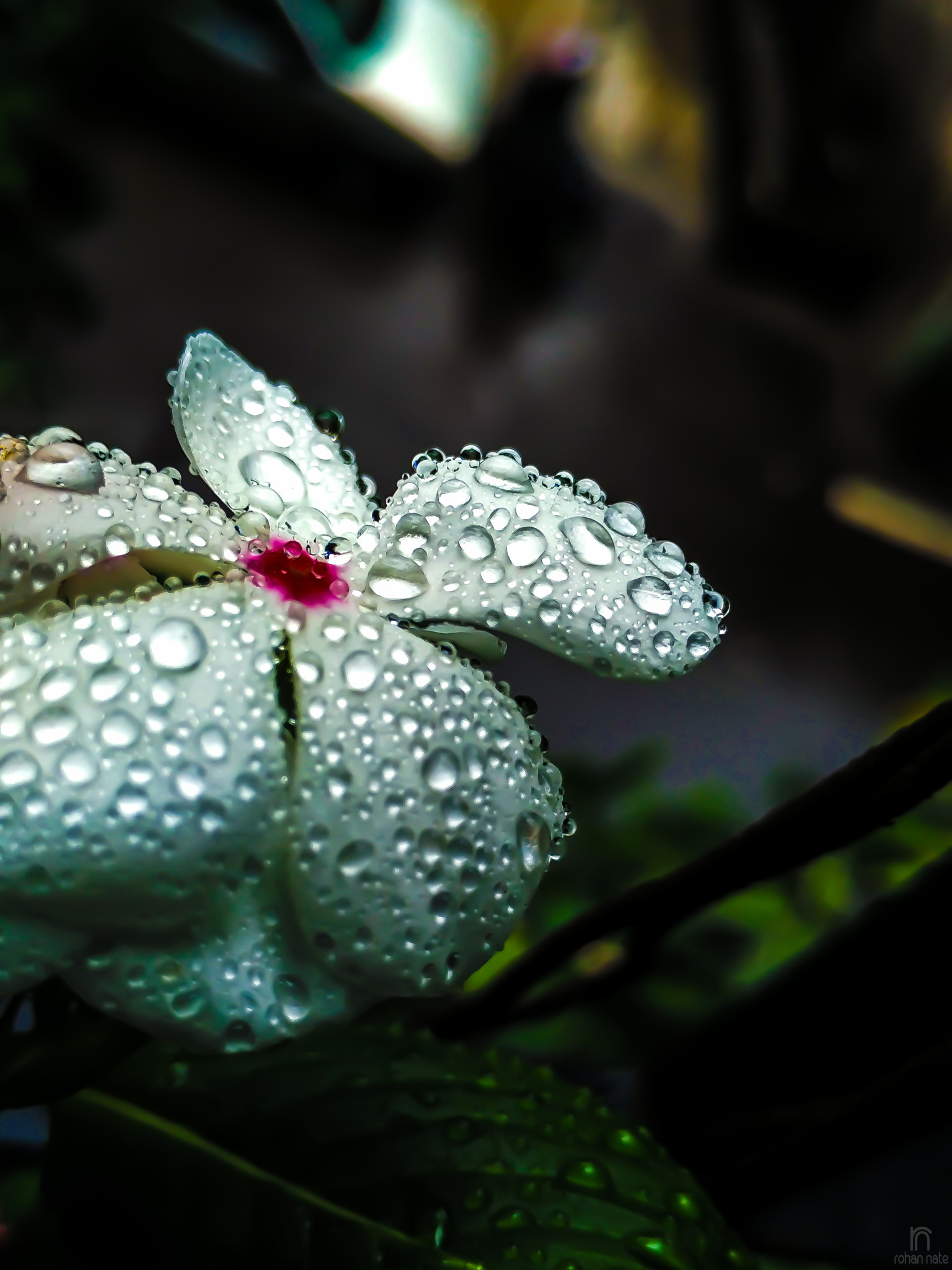Xiaomi Mi 4i sample photo. Monsoon photography