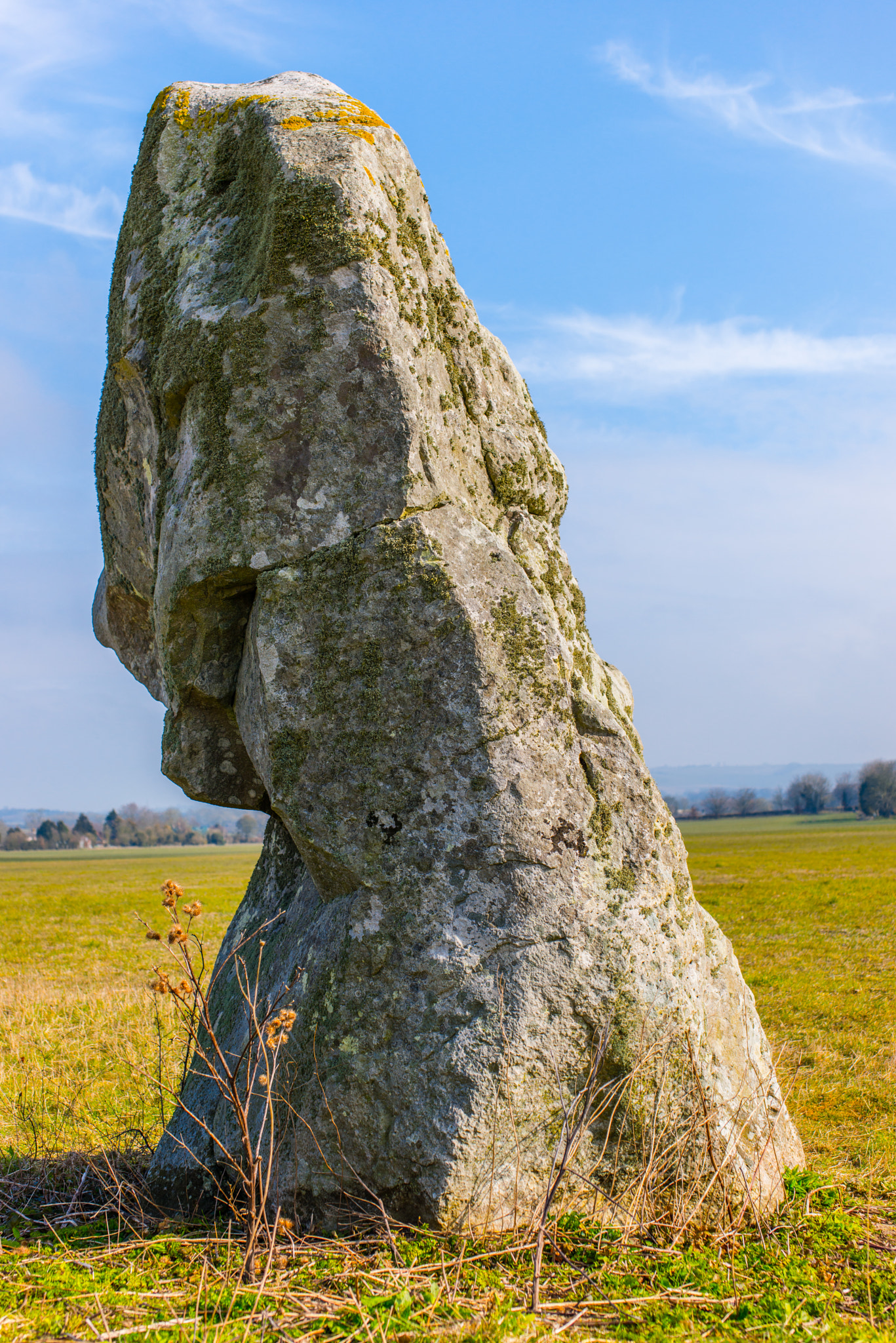 Nikon D800 + Sigma 50mm F2.8 EX DG Macro sample photo. Avebury photography