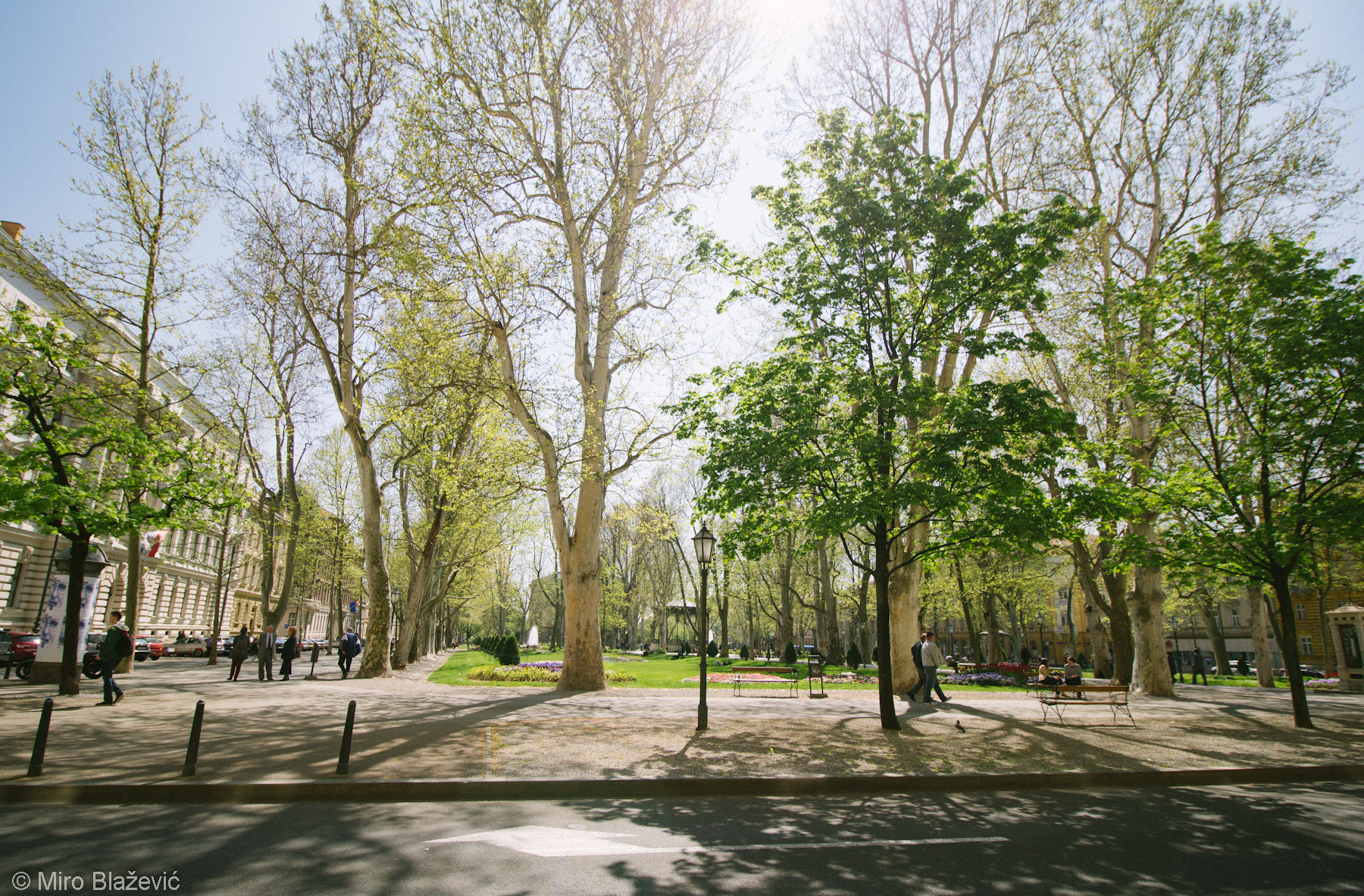 Canon EF-S 10-18mm F4.5–5.6 IS STM sample photo. Zrinjevac photography