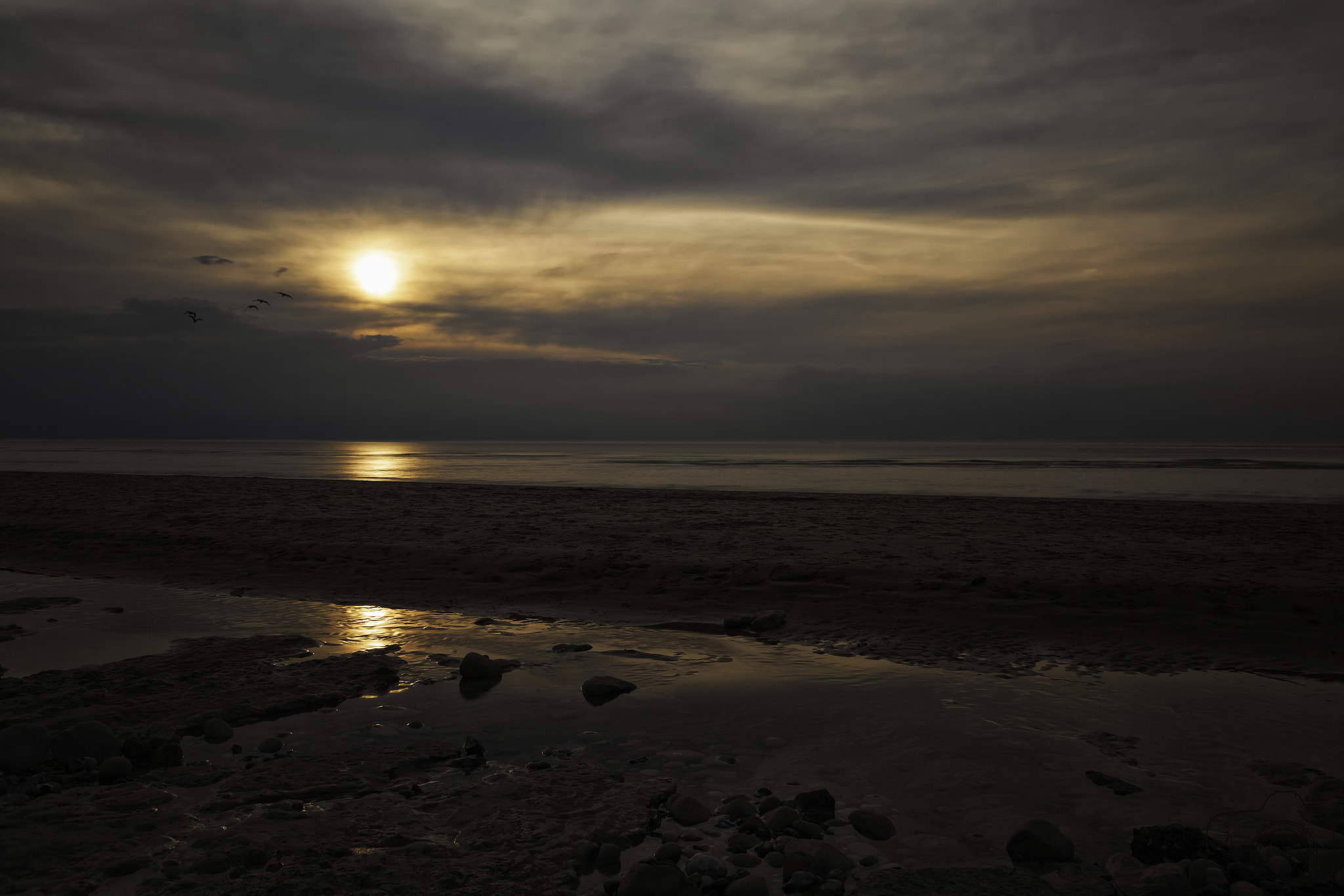 Sigma 24-105mm f/4 DG OS HSM | A sample photo. ☼ ☼ ☼ photography