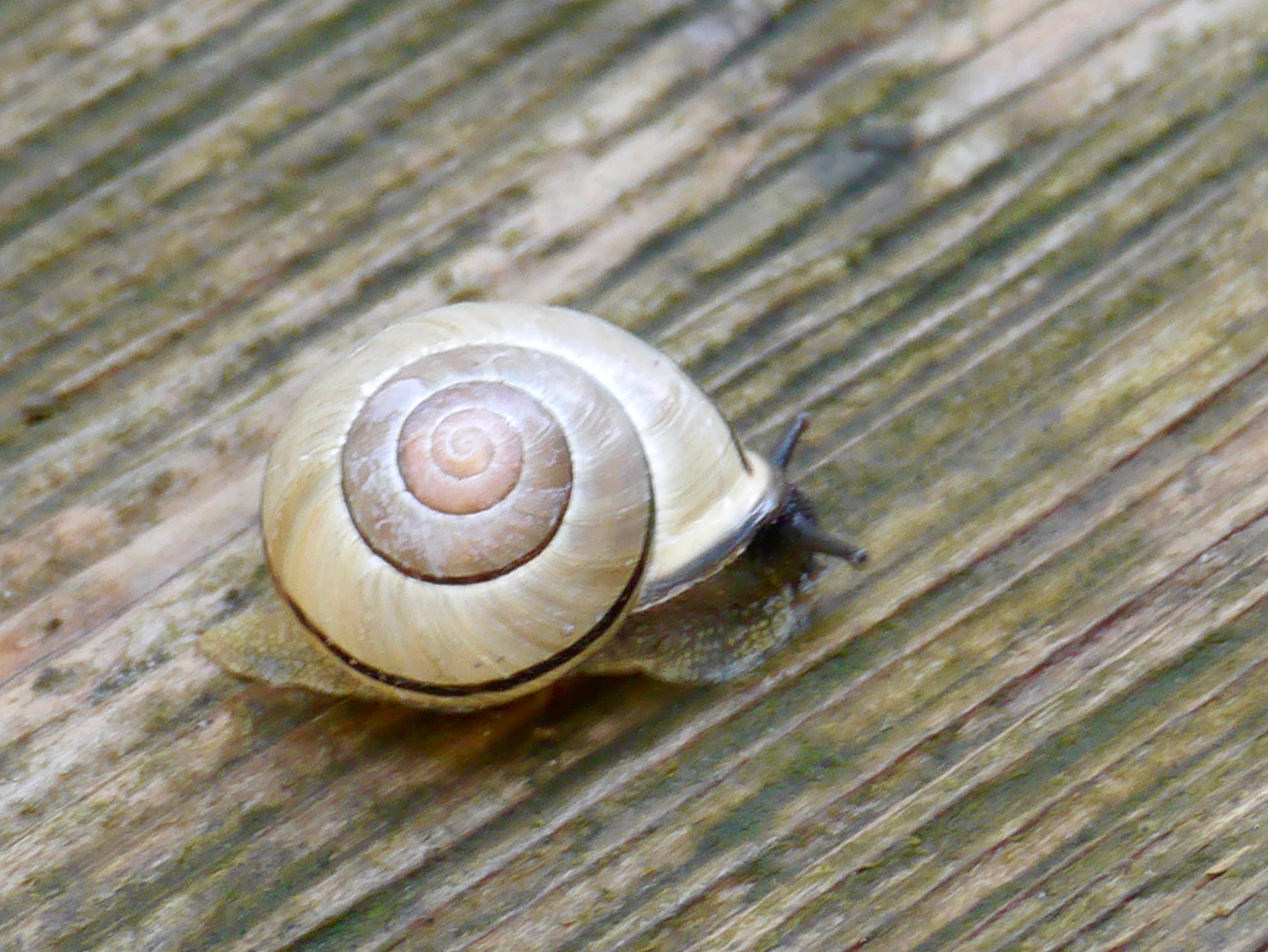 Panasonic Lumix DMC-GX1 sample photo. En ligne! photography