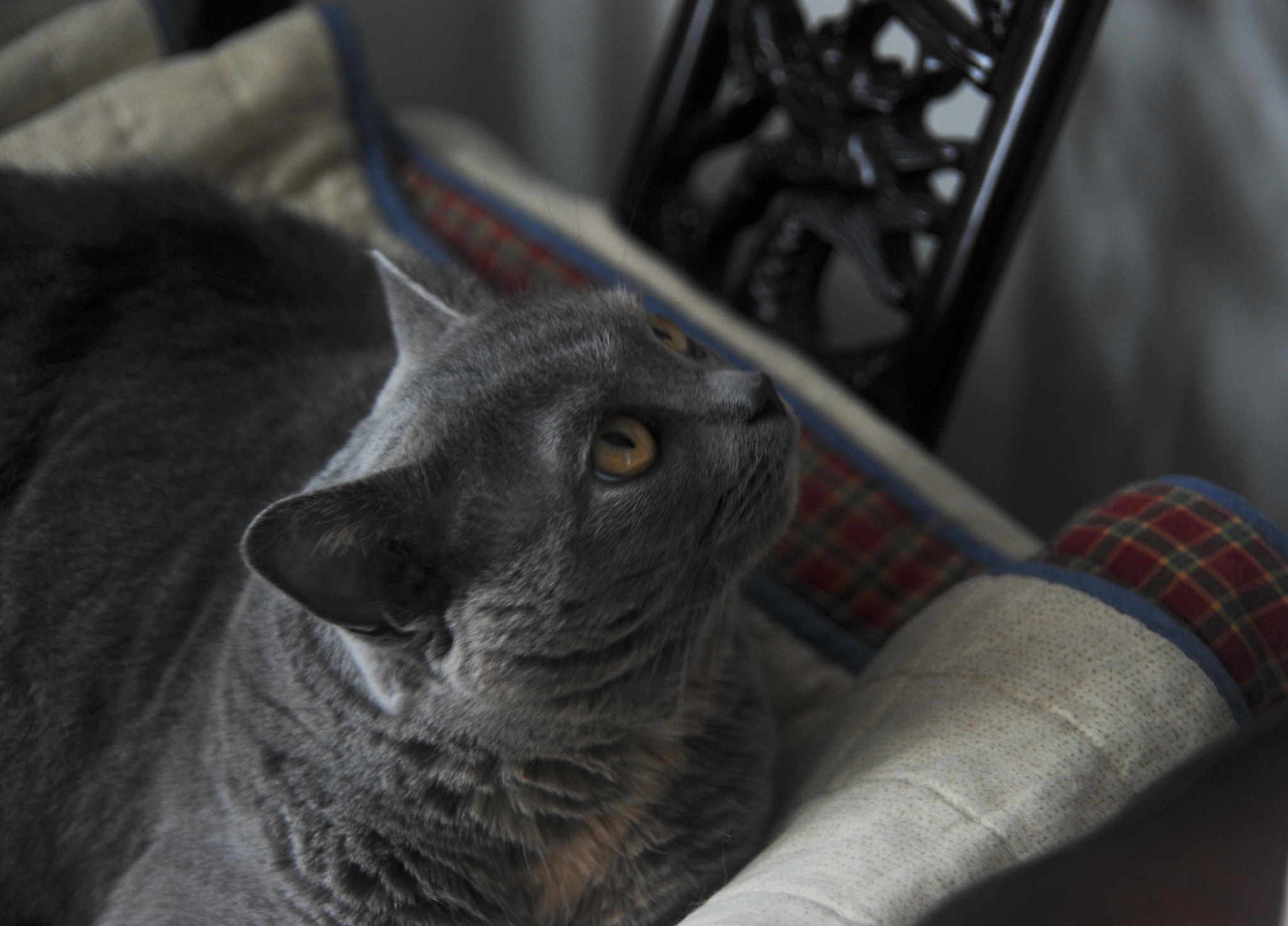 Nikon D3S sample photo. ...藍藍... photography