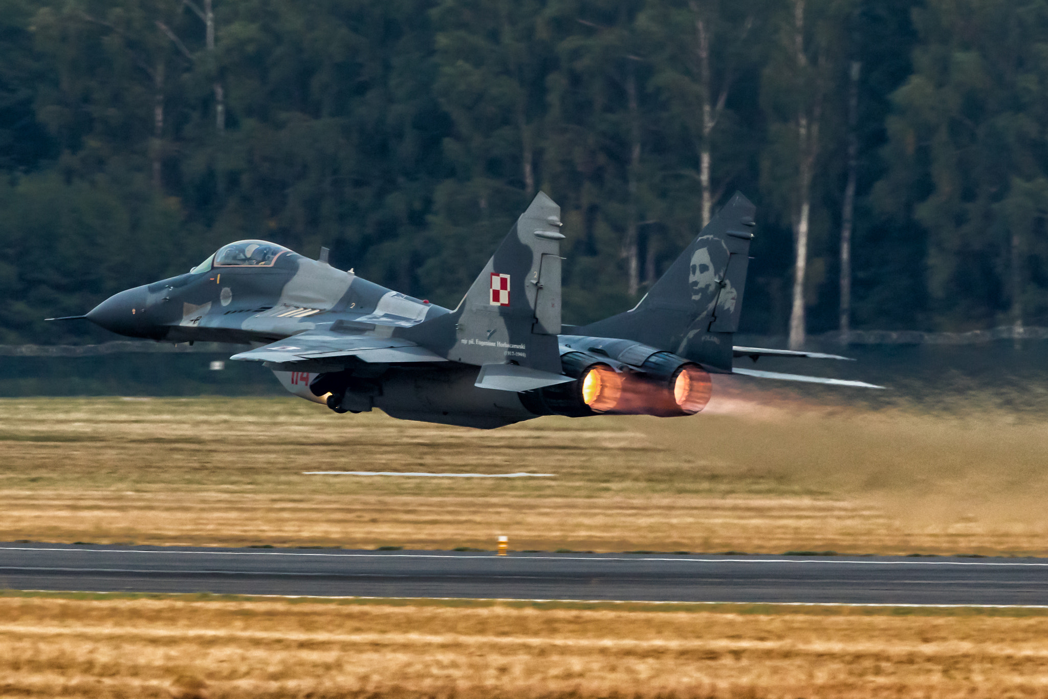 Canon EF 300mm F2.8L IS II USM sample photo. Fly low, fly fast! photography