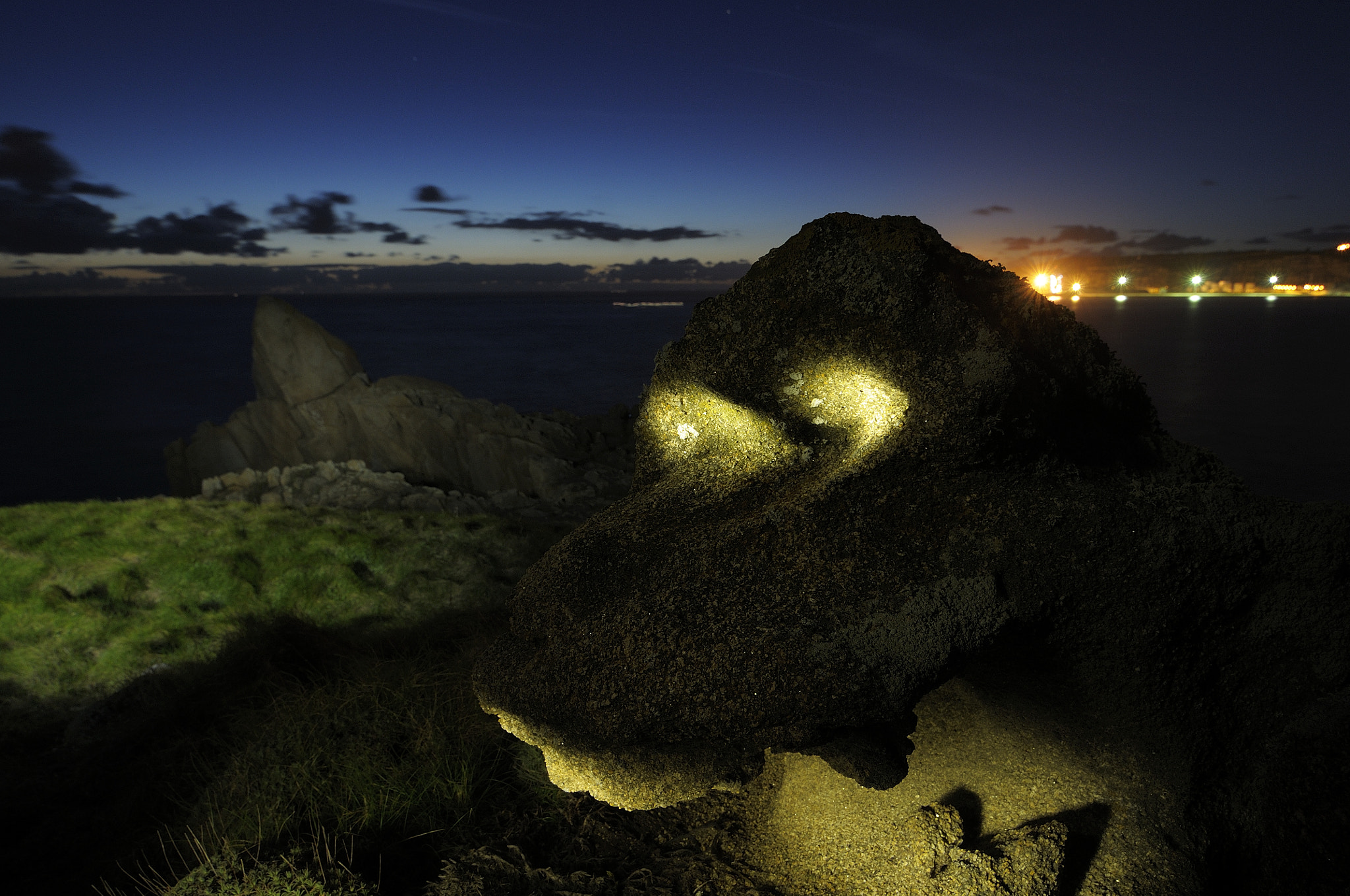 Nikon D300S sample photo. The watcher photography