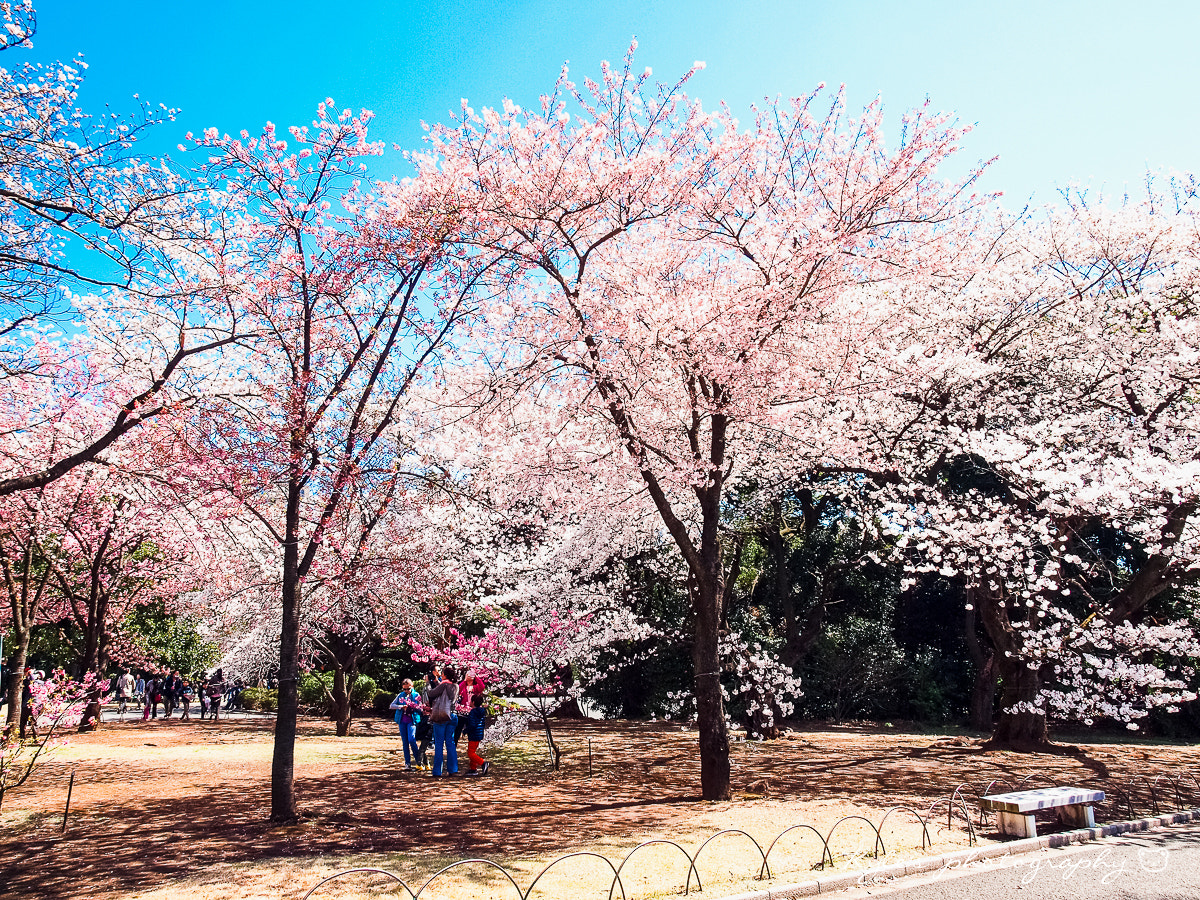 Olympus E-30 + Olympus Zuiko Digital 14-54mm F2.8-3.5 II sample photo. 新宿御 photography