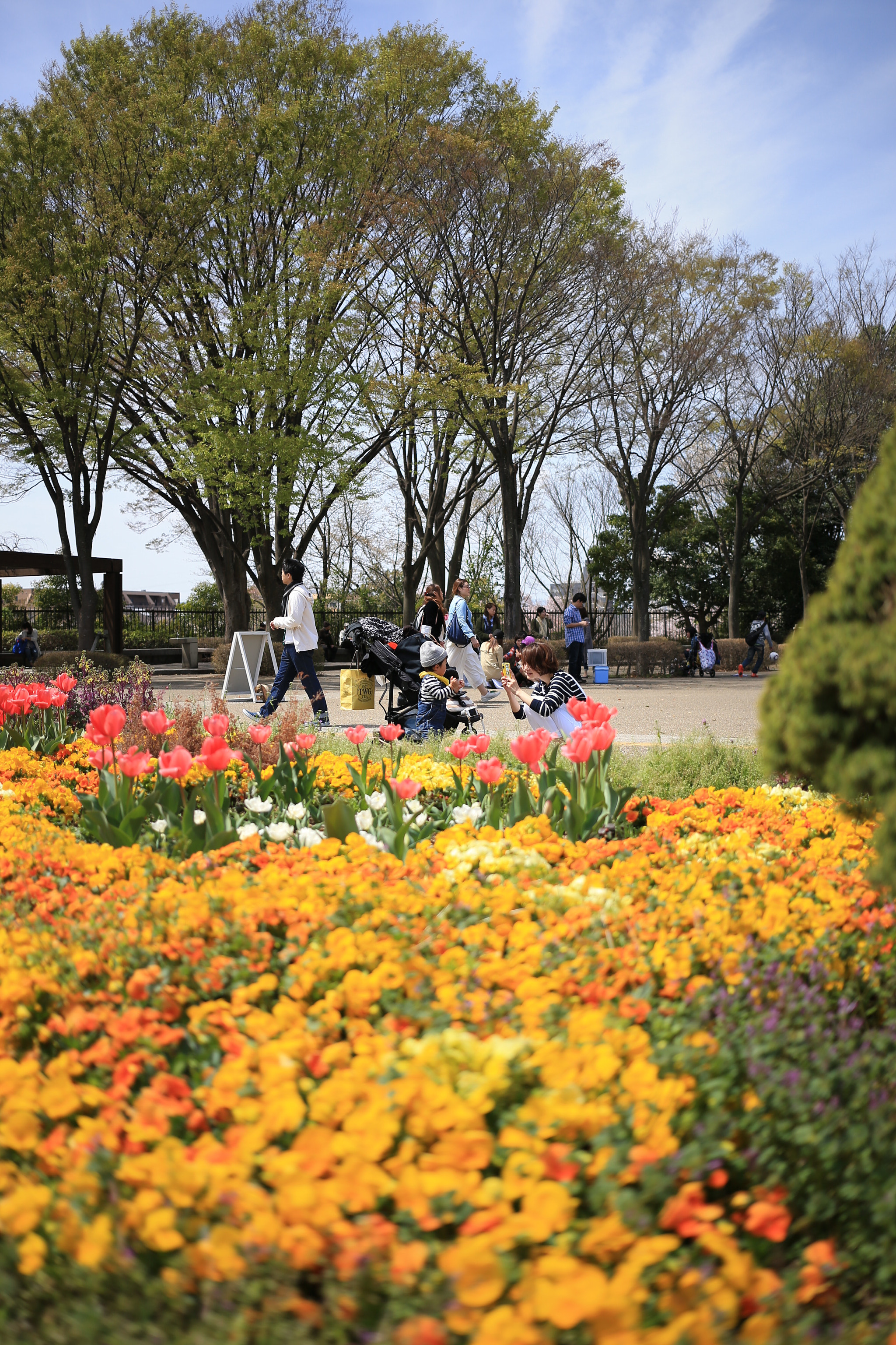 Canon EF 40mm F2.8 STM sample photo. 春 photography