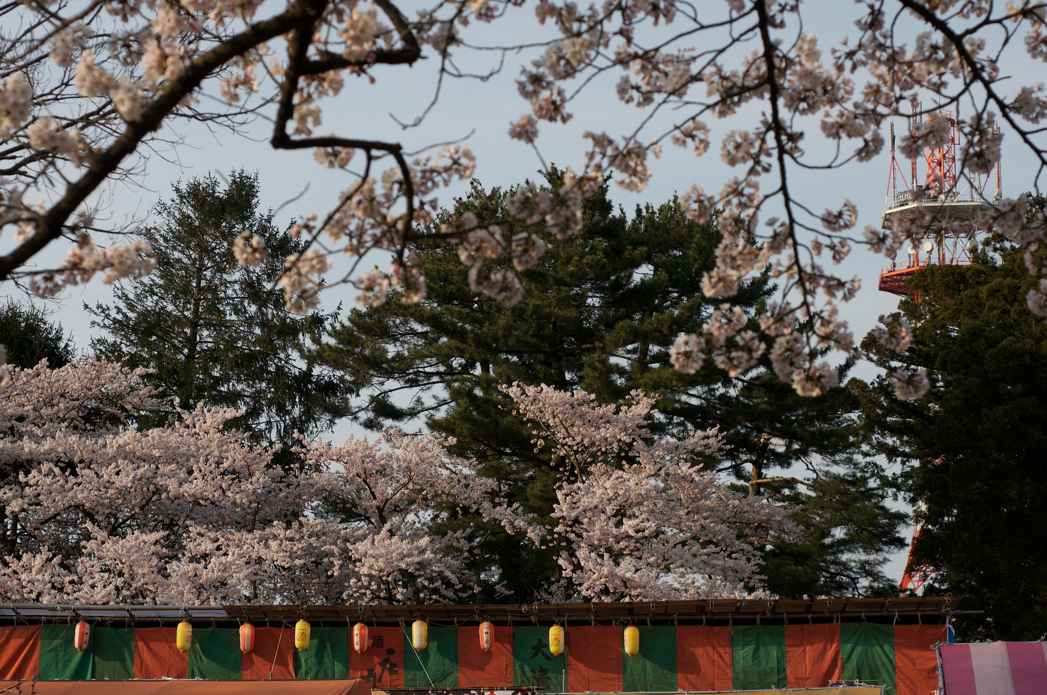 Nikon D300 + AF Nikkor 50mm f/1.8 sample photo. Untitled photography