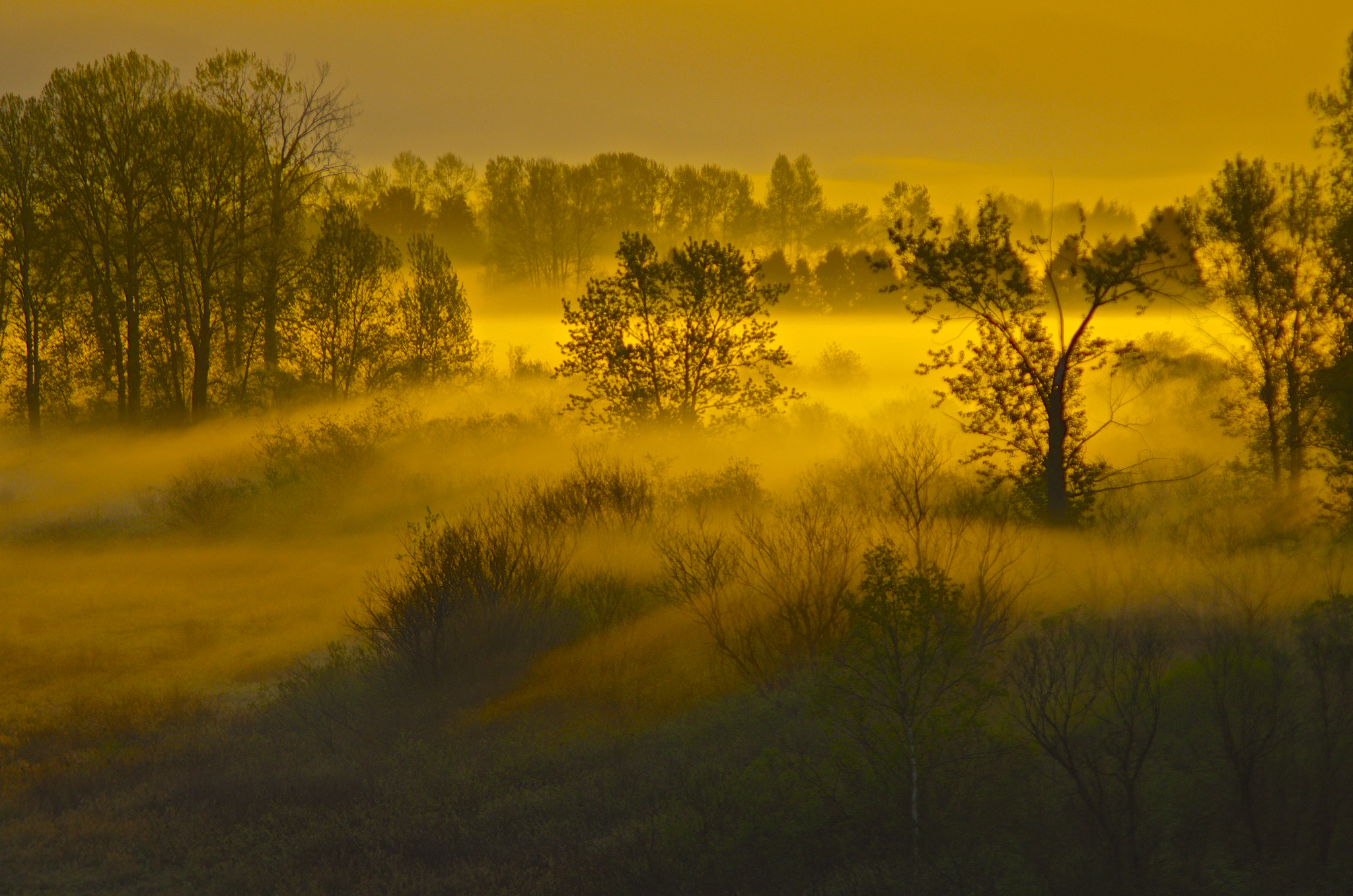 smc PENTAX-FA J 75-300mm F4.5-5.8 AL sample photo. Fog's arrival photography