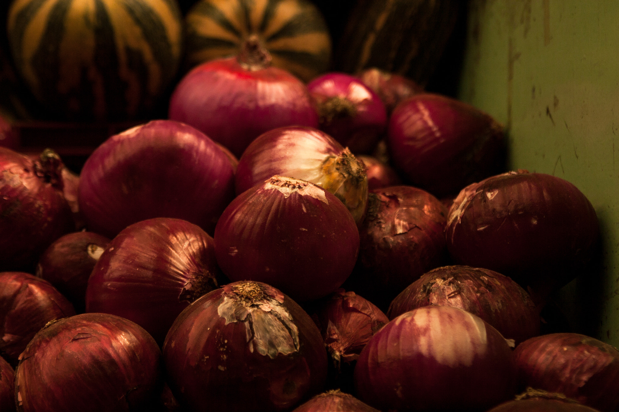 Canon EF 28-105mm f/3.5-4.5 USM sample photo. Onion photography