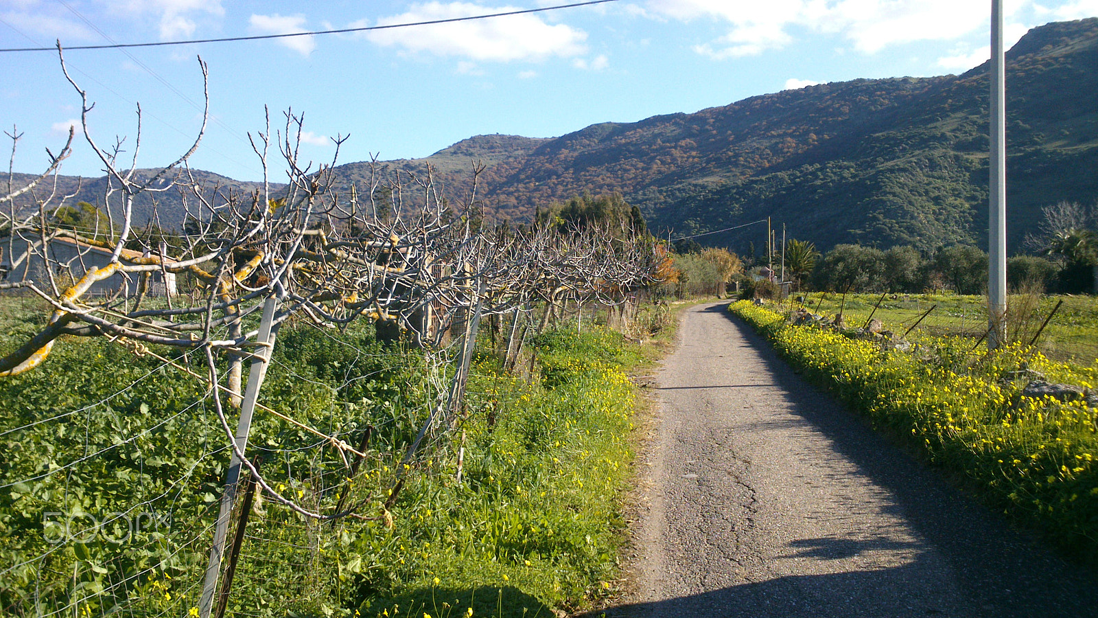 Sony Xperia P sample photo. Countryroad photography