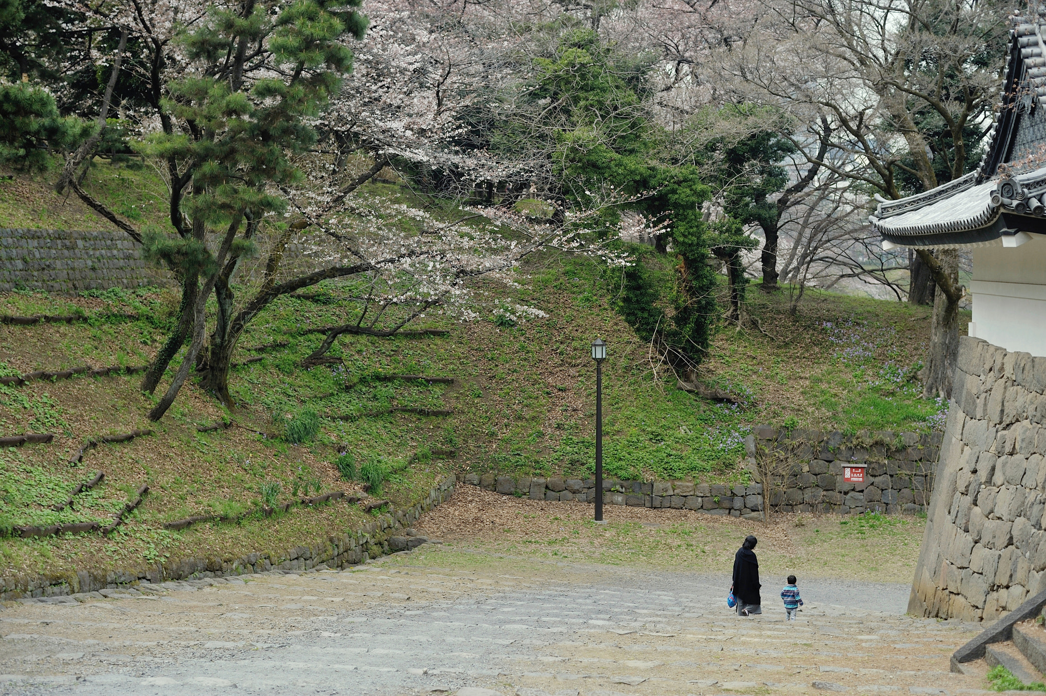 Nikon D700 + Voigtlander Nokton 58mm F1.4 SLII sample photo. Spring for tokyoites photography