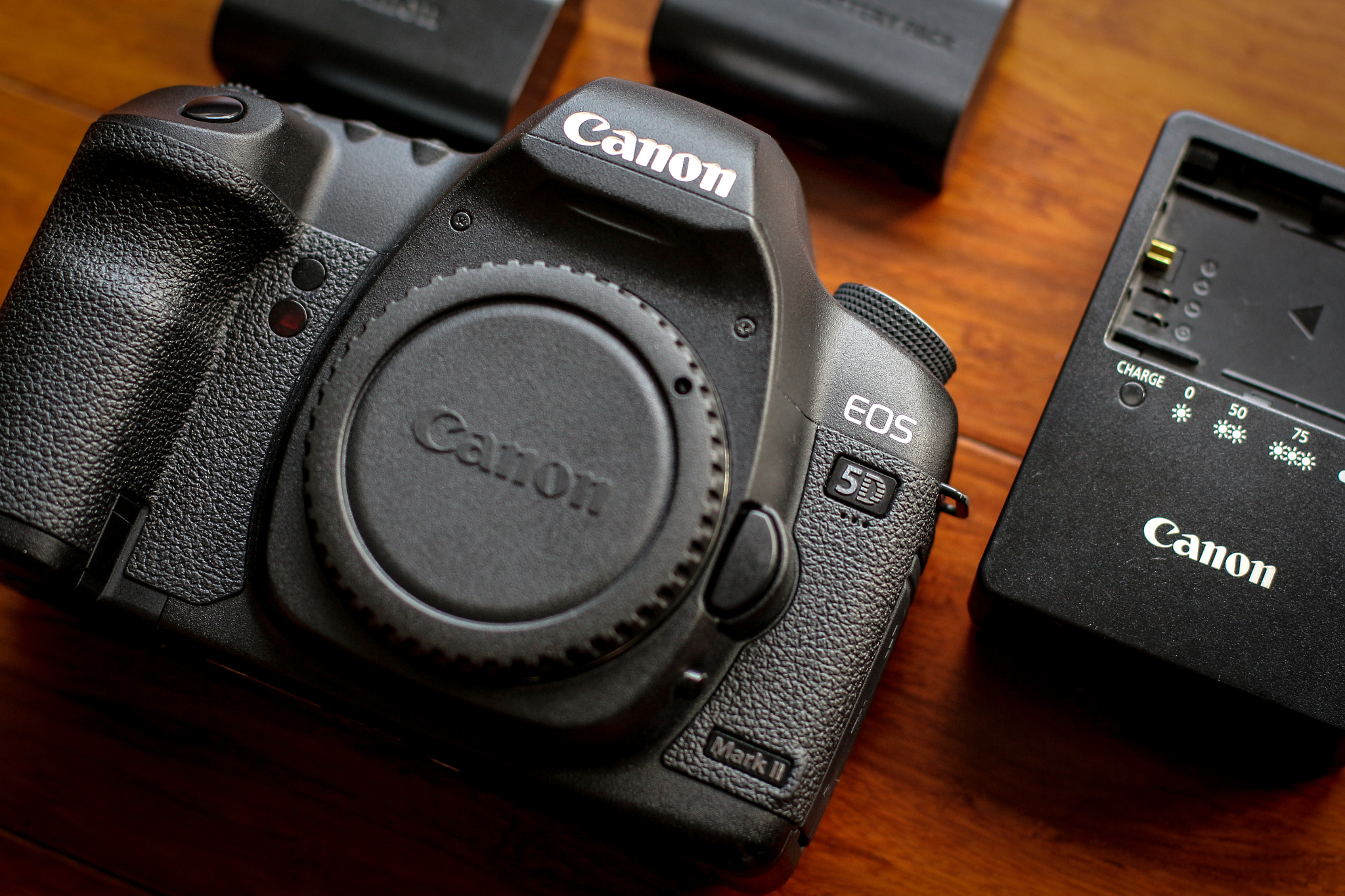 Canon EOS M + Canon EF 50mm F1.4 USM sample photo. The workhorse photography