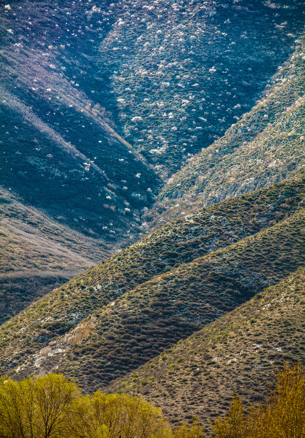 Canon EF 100-400mm F4.5-5.6L IS II USM sample photo. 山坡 photography